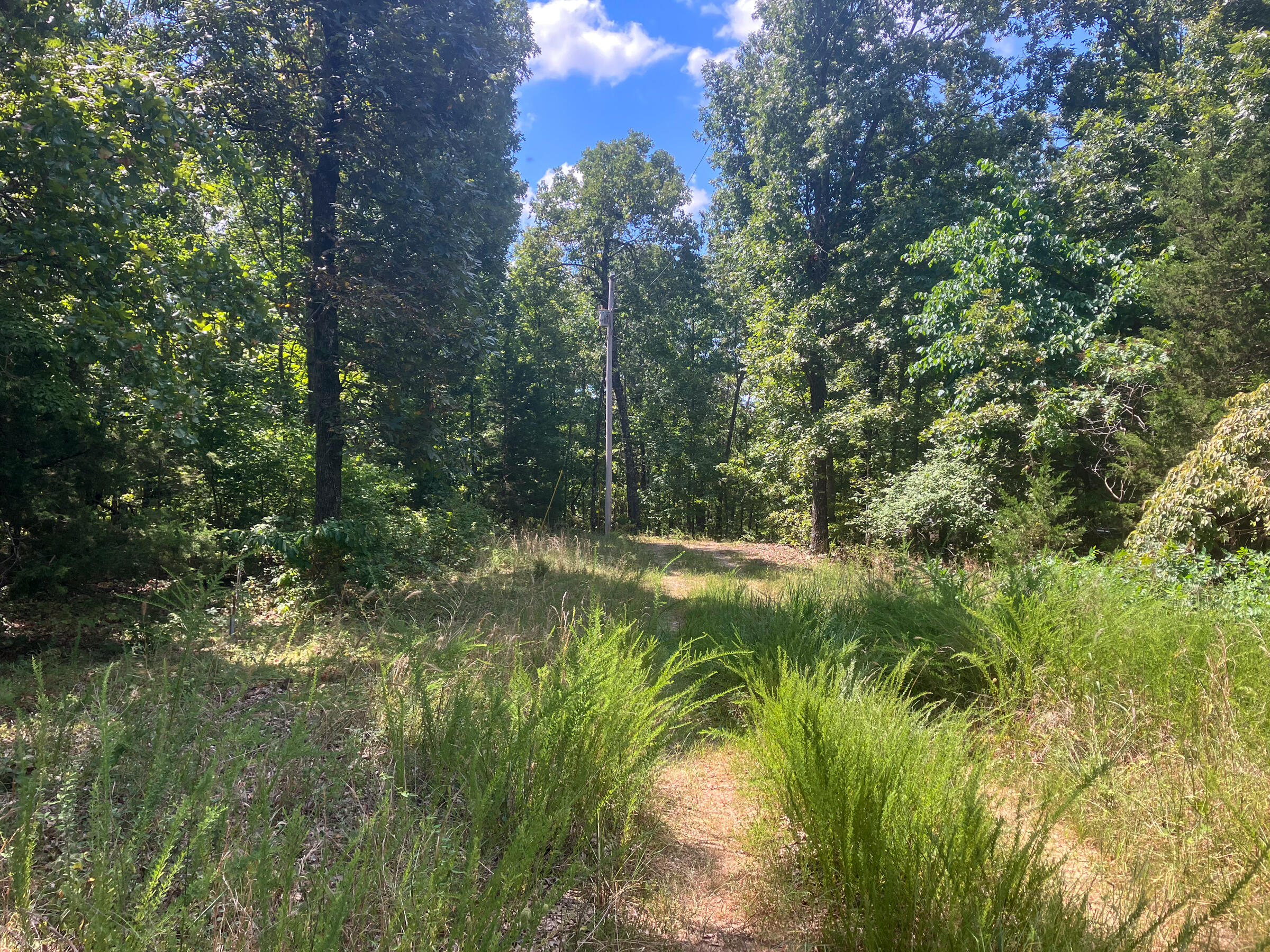 000 Us Highway 160 Property Photo 5