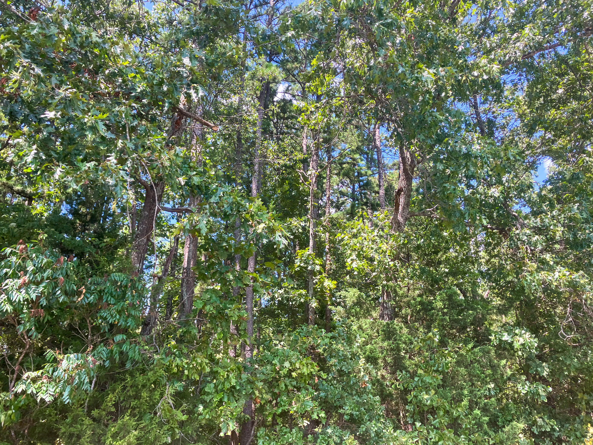 000 Us Highway 160 Property Photo 6