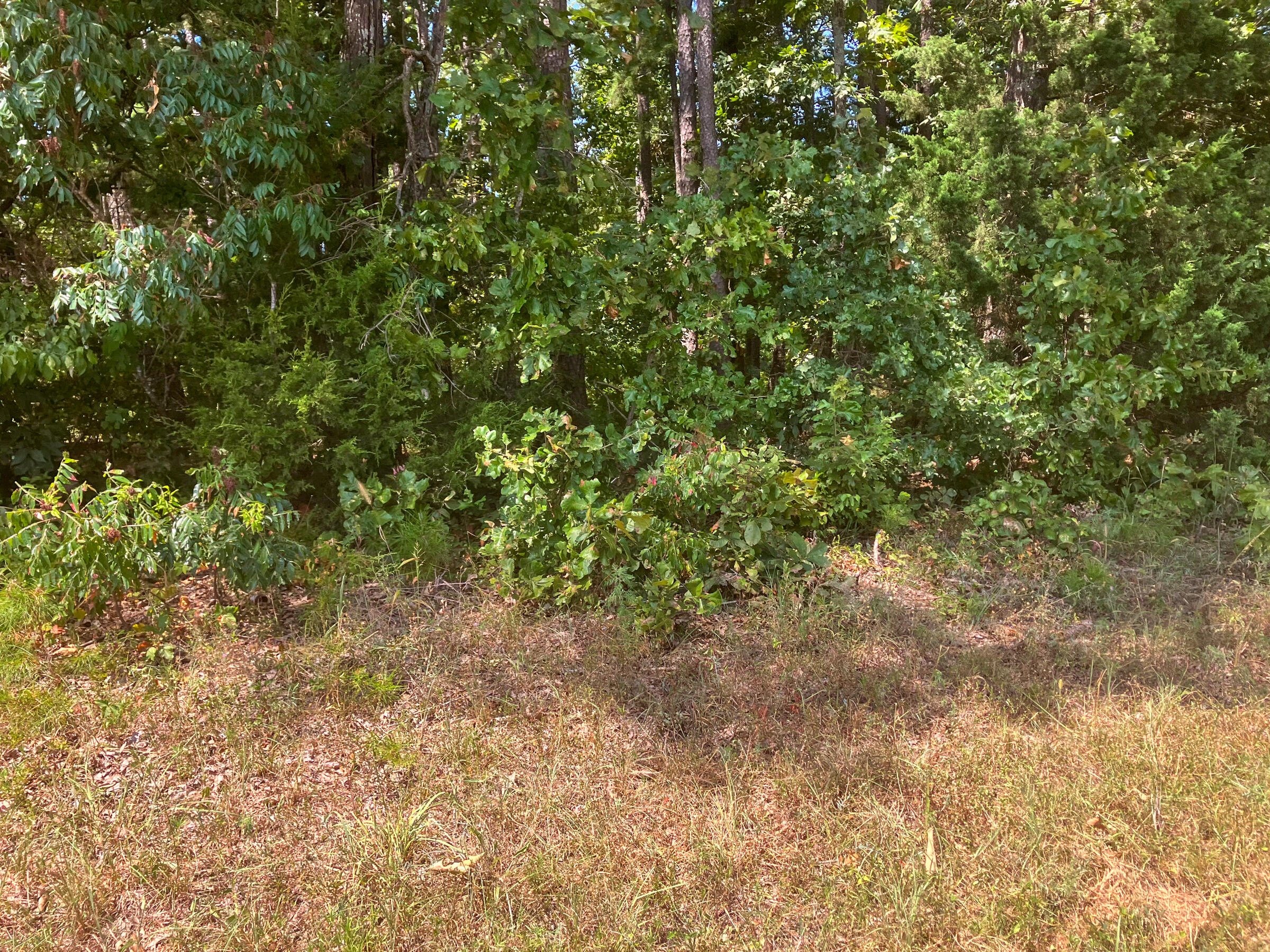 000 Us Highway 160 Property Photo 11