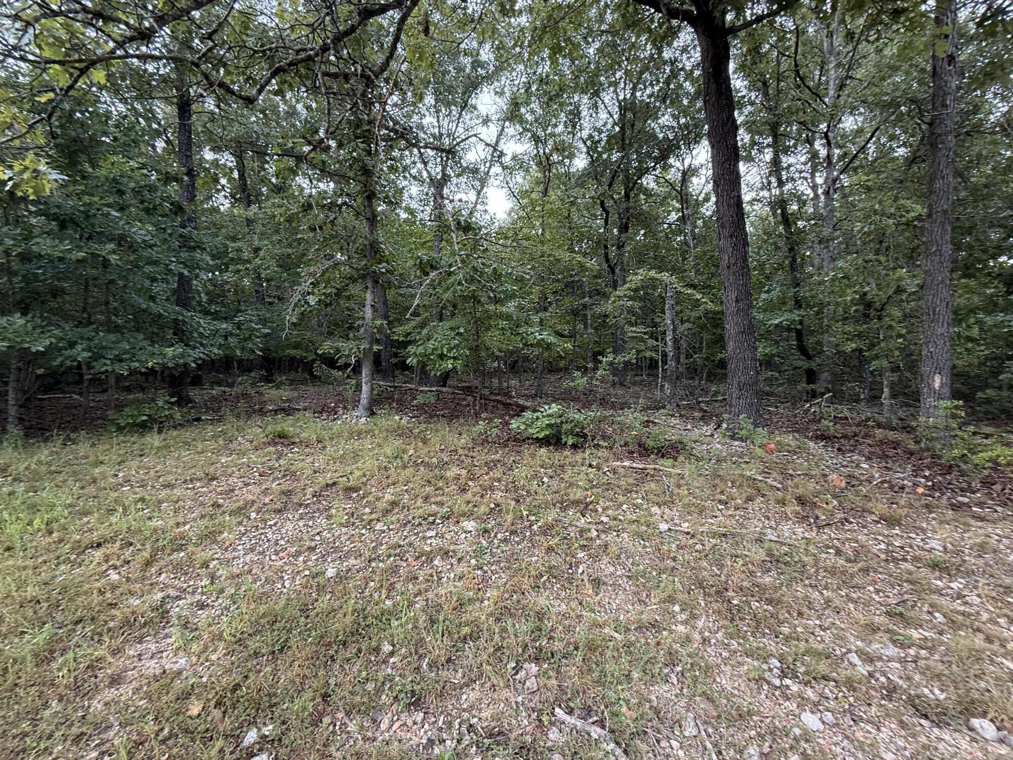 000 Private Road 2532 Property Photo 6
