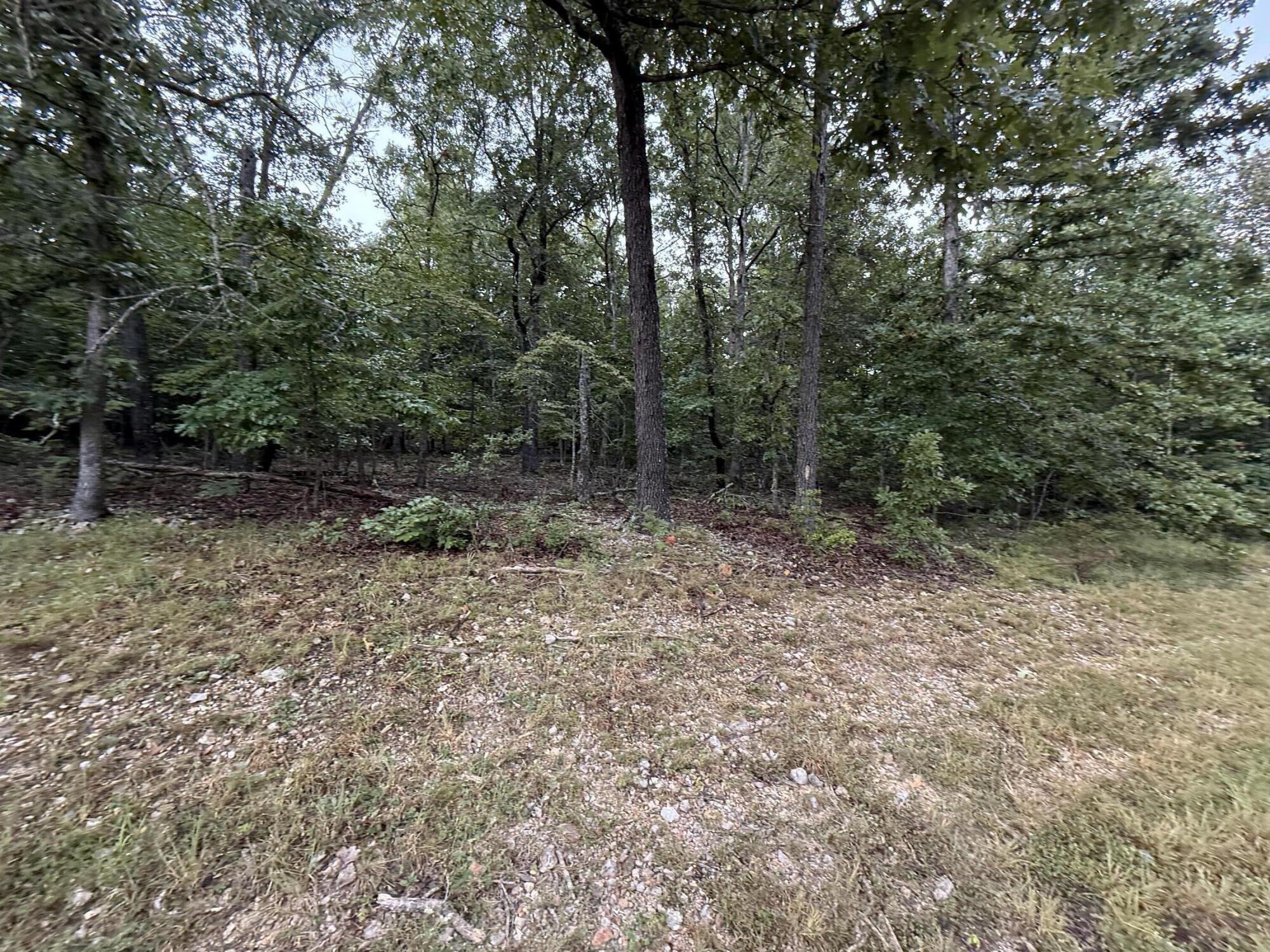 000 Private Road 2532 Property Photo 7