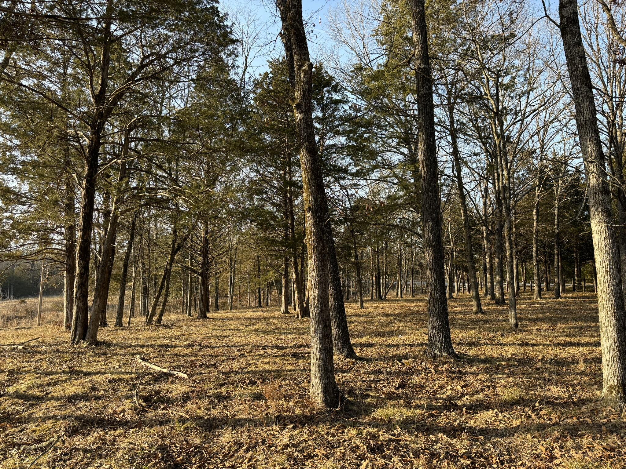 3855 Fall Creek Road Property Photo 6