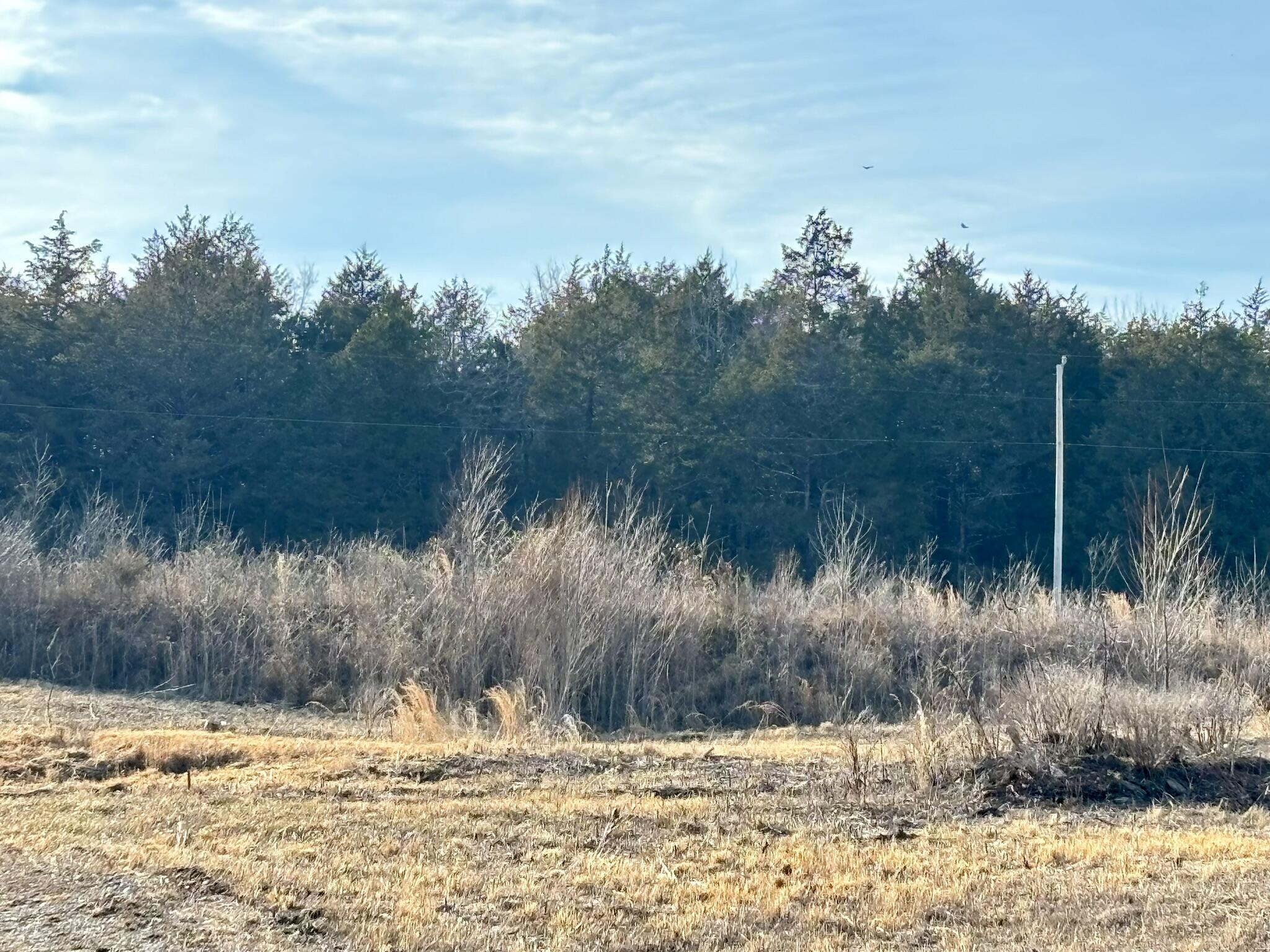 3855 Fall Creek Road Property Photo 19