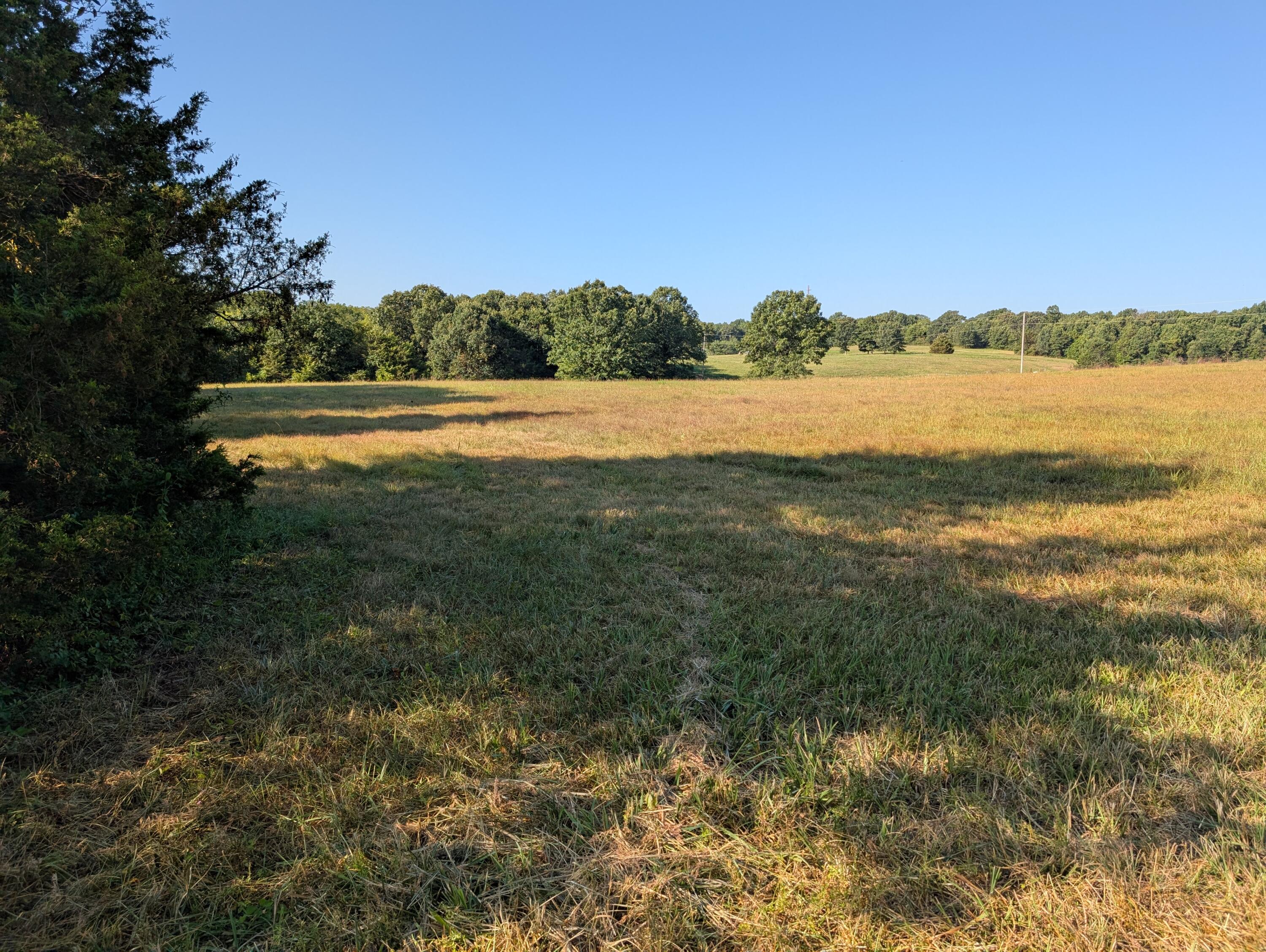 000 Poinsetta Road Property Photo 3