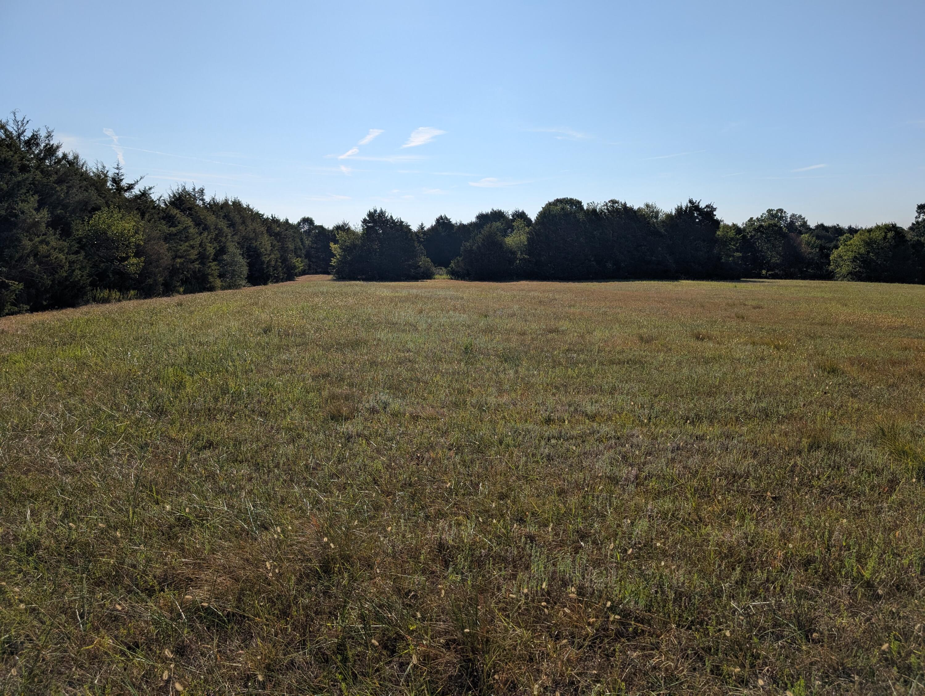 000 Poinsetta Road Property Photo 4