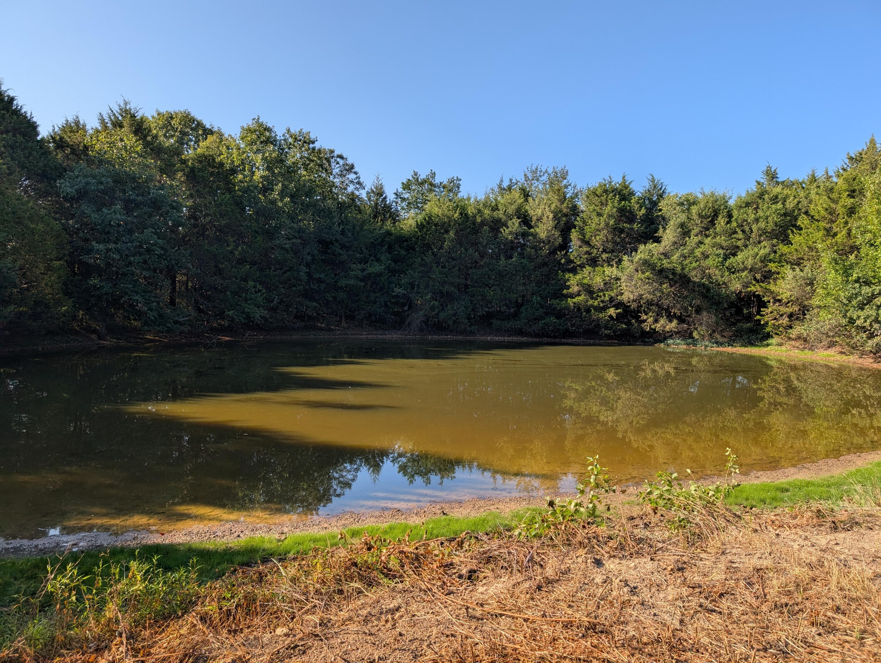 000 Poinsetta Road Property Photo 5