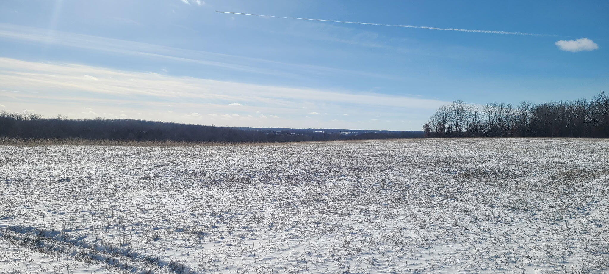 0 535 Property Photo 3