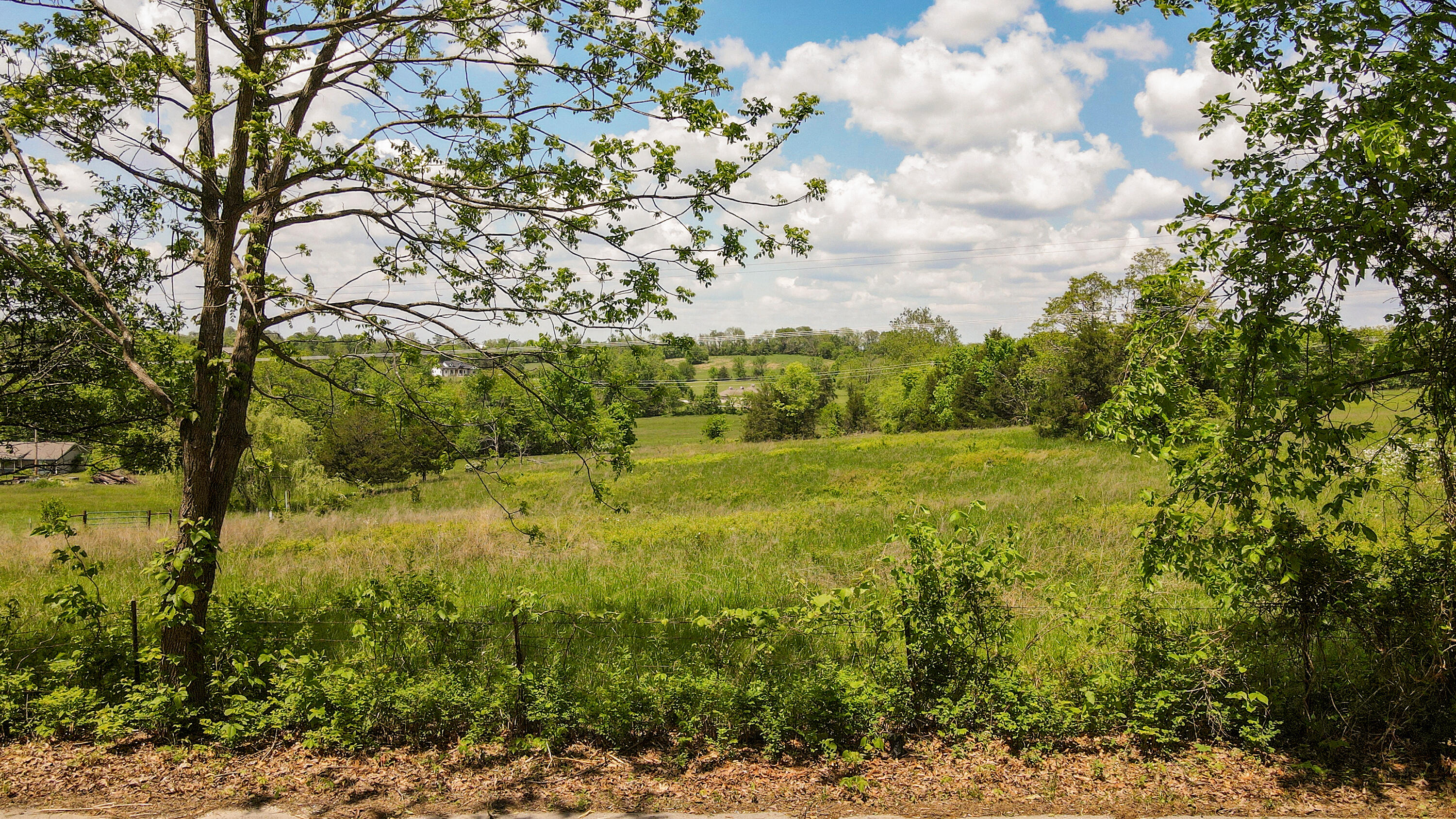 Tbd Shortt Lane Property Photo 6