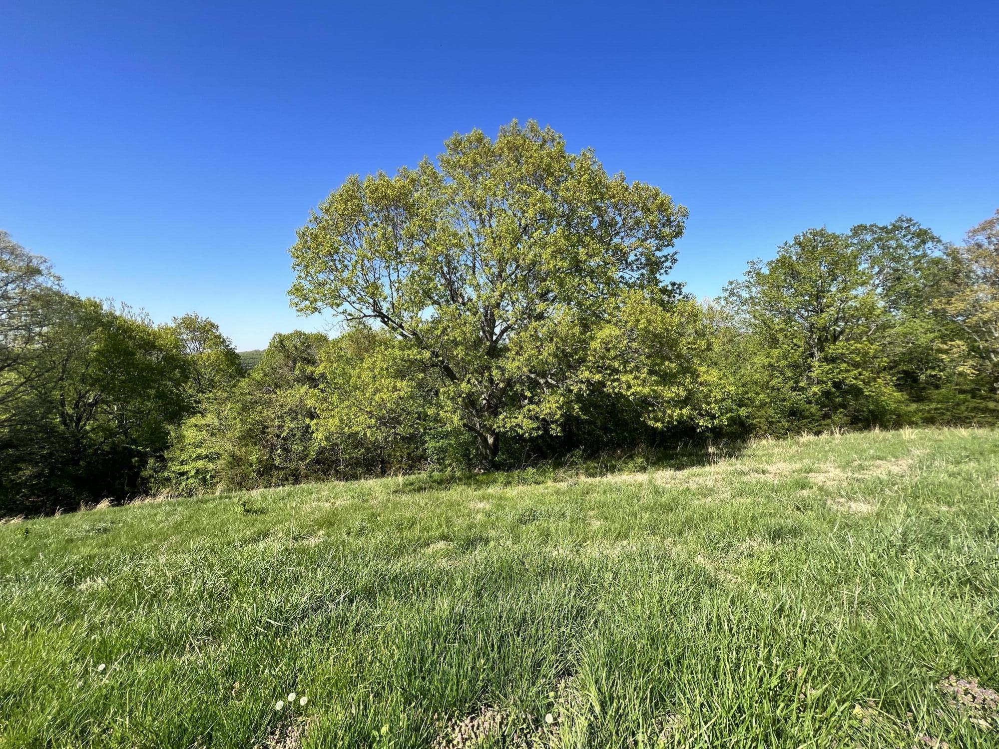 Lot 58 Eagle Crest Circle Property Photo 1