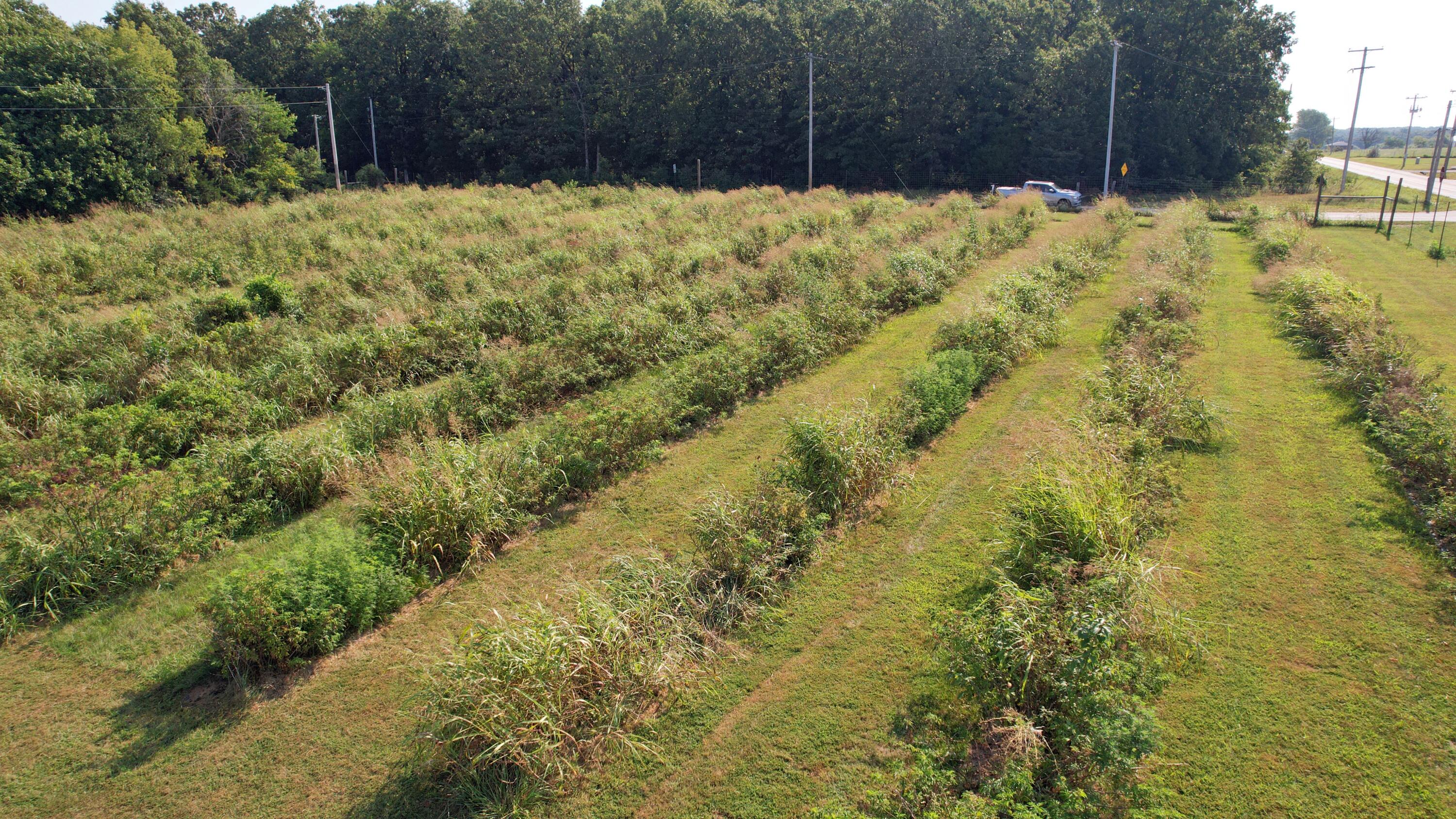 3495 East State Hwy Aa Property Photo 24