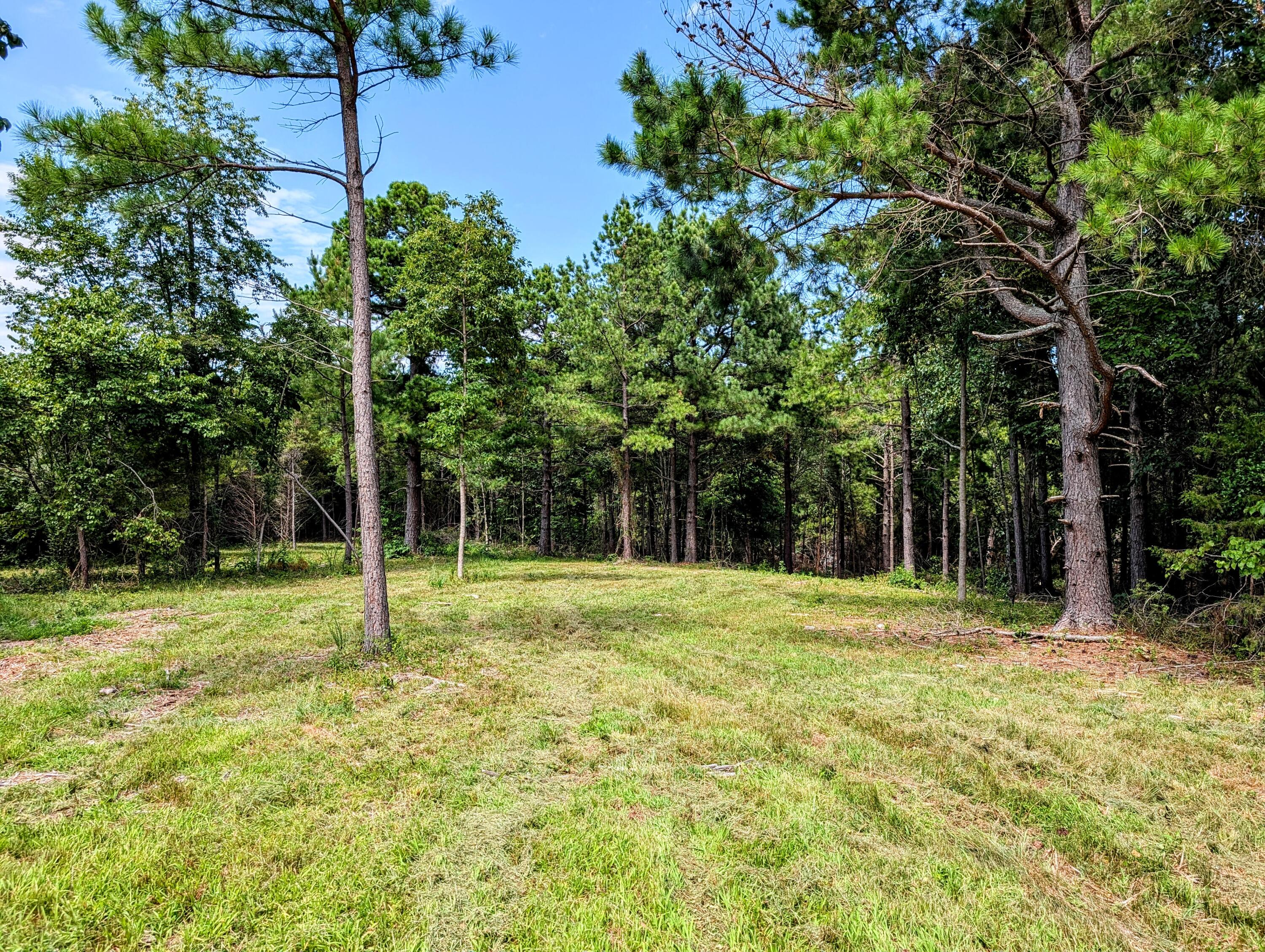 651 Emerald Road Property Photo 3