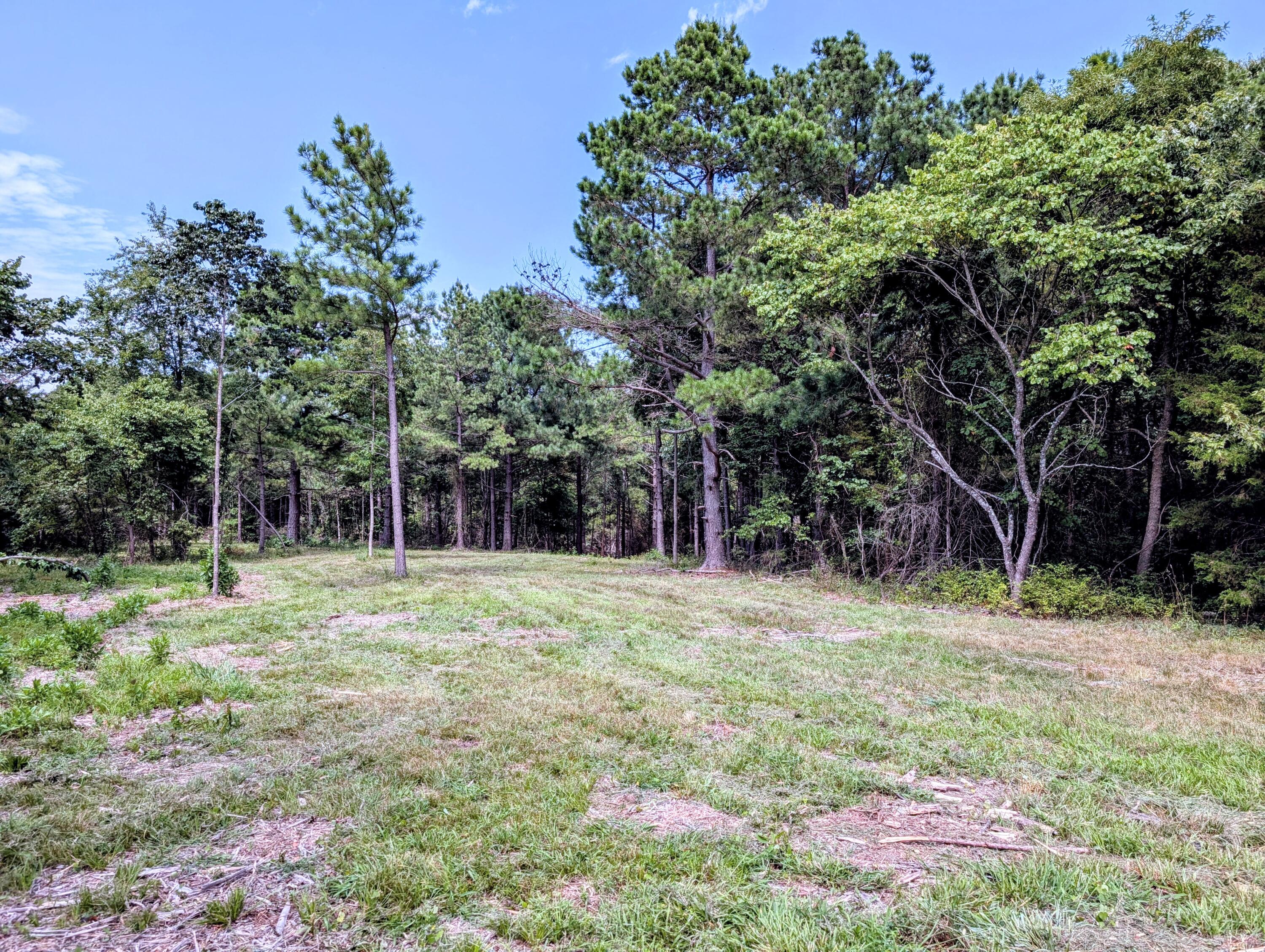 651 Emerald Road Property Photo 7