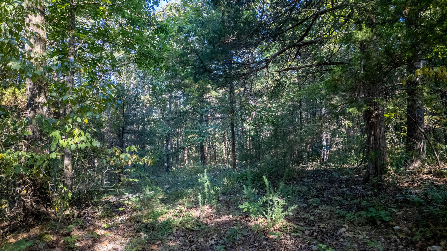 000 Calhan Circle Property Photo 12