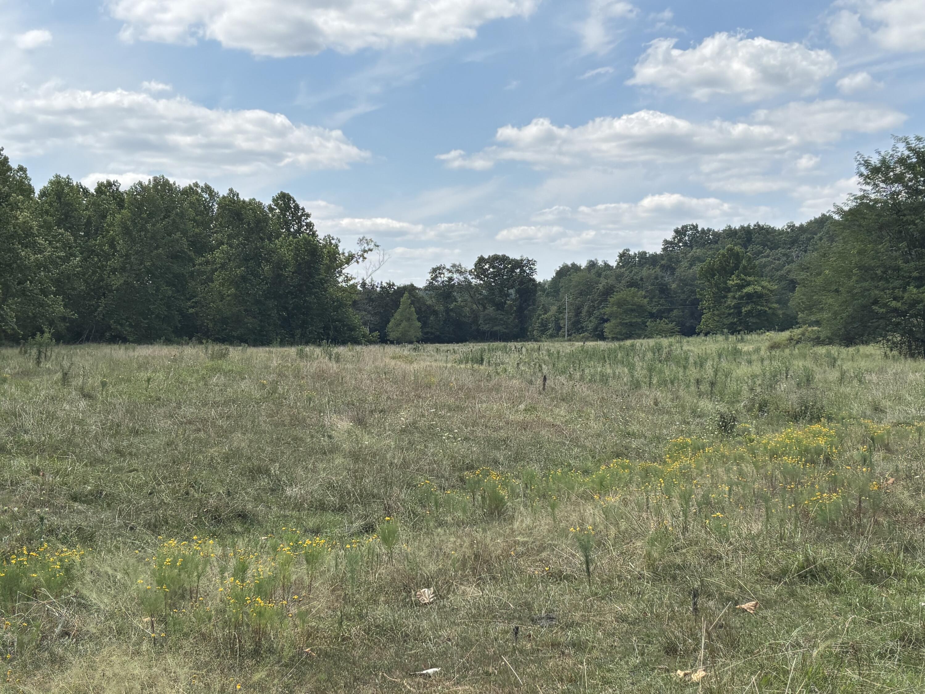 000 County Road 534 Property Photo 10
