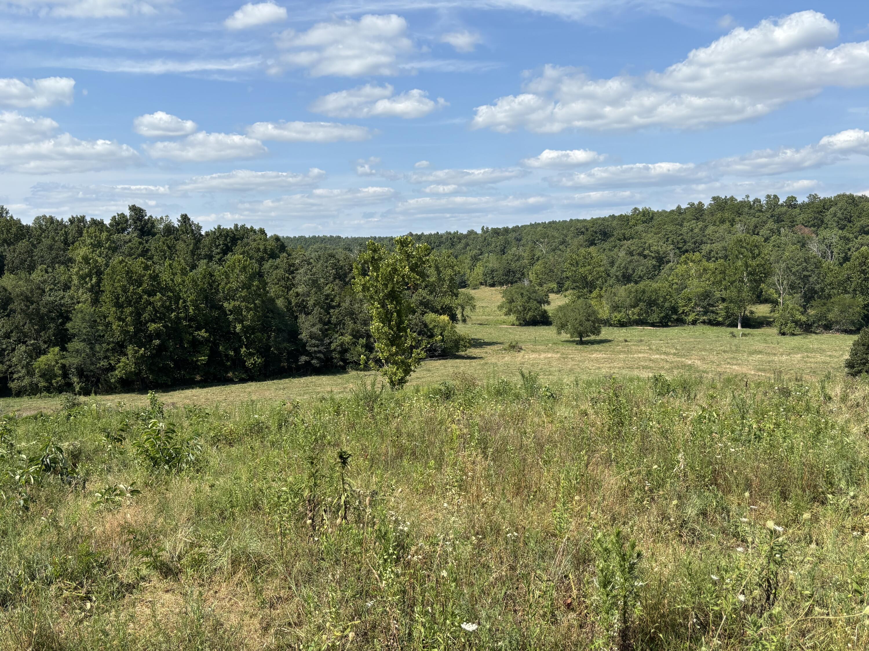 000 County Road 534 Property Photo 14