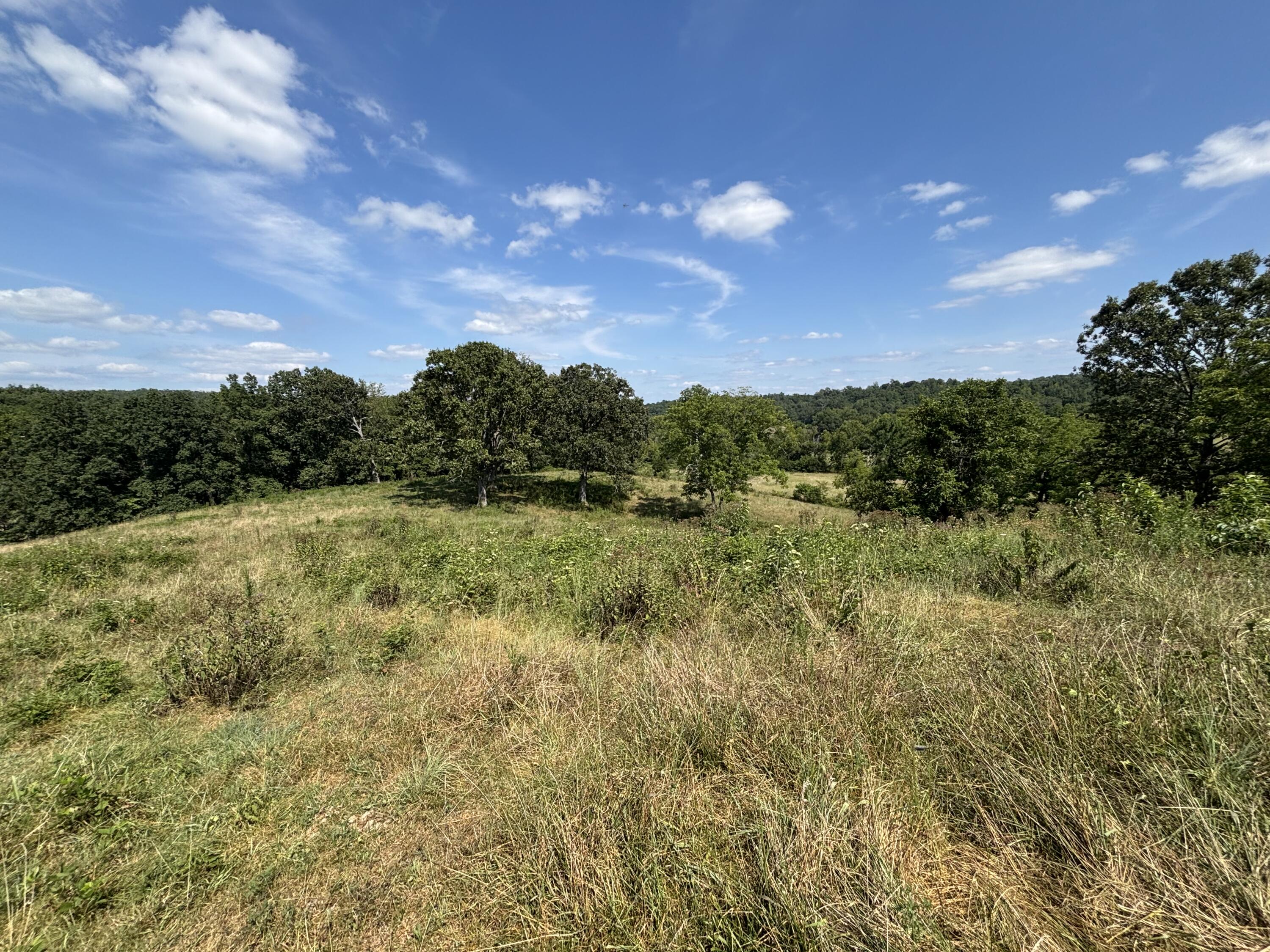 000 County Road 534 Property Photo 15