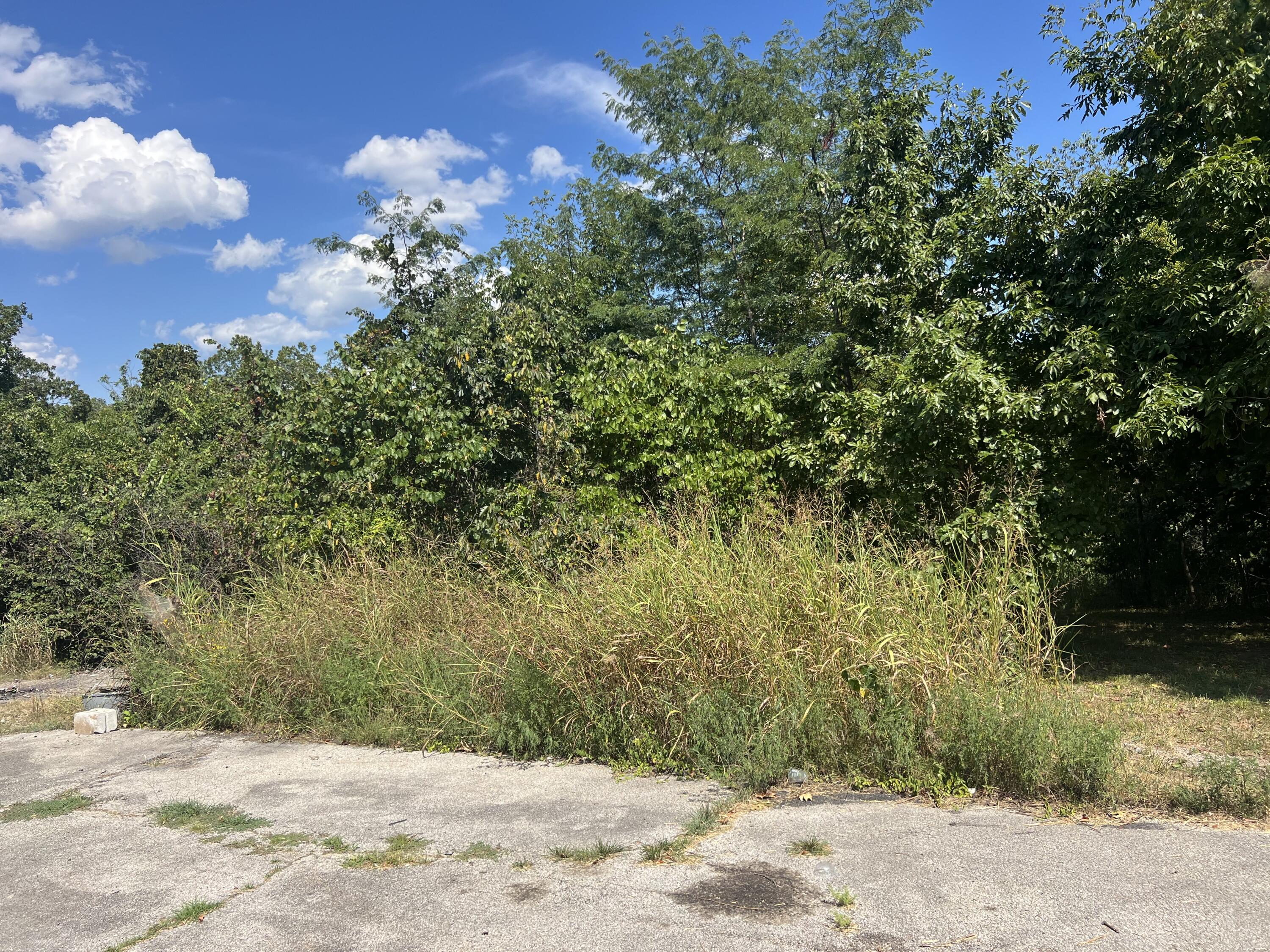 610 Kimberly Creek Road Property Photo 36