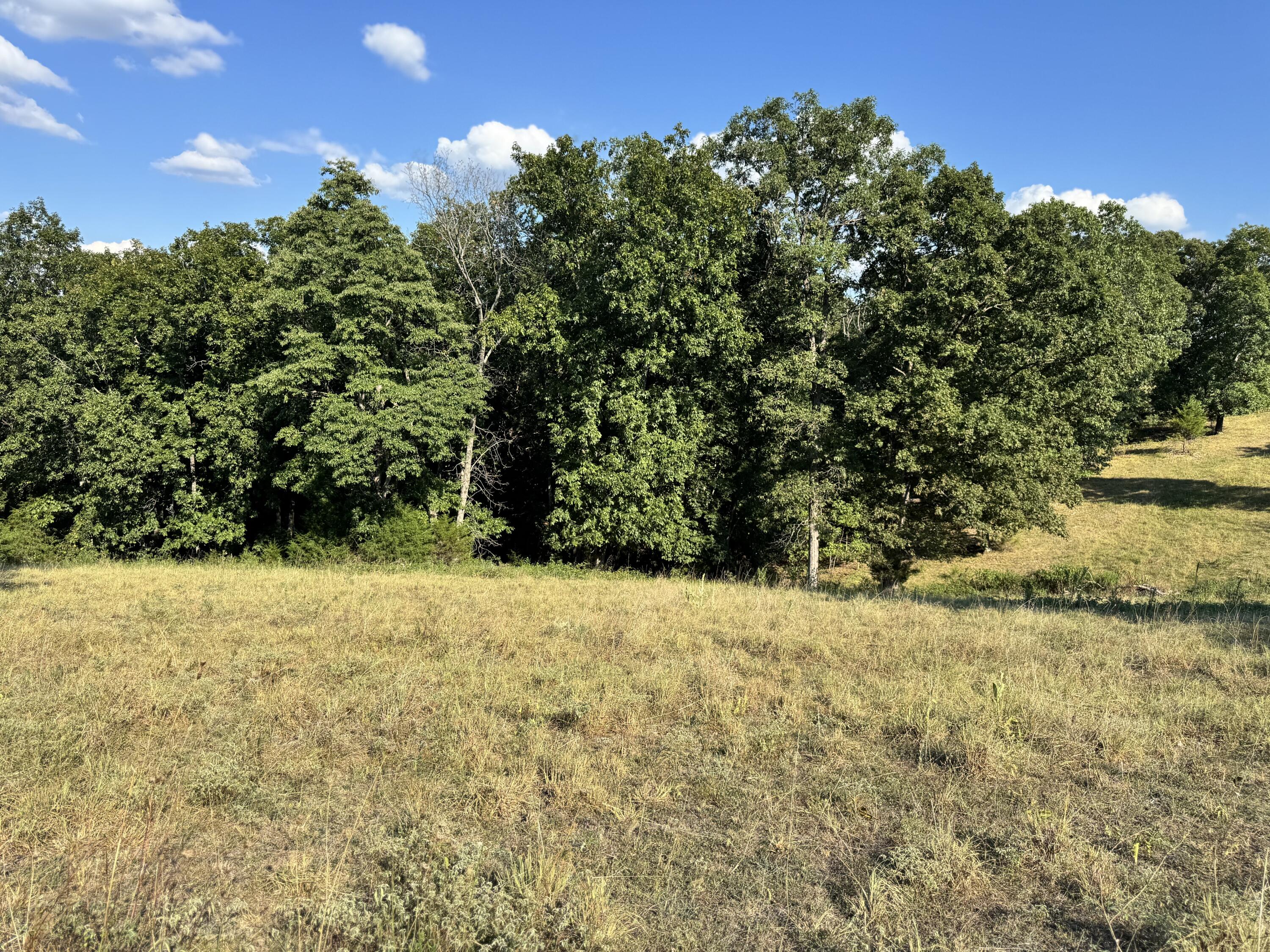 000 Center Road Property Photo 8