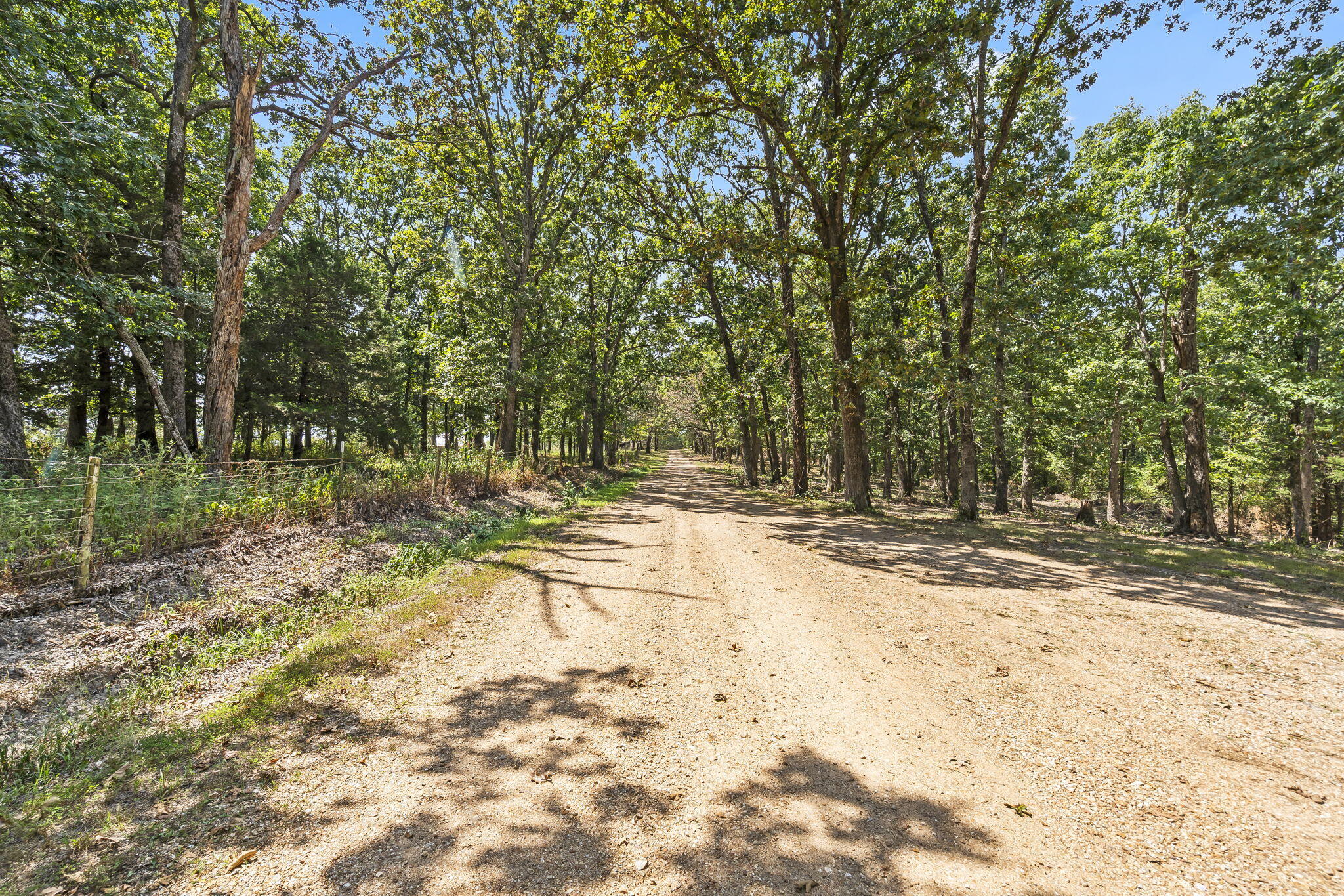 16311 Sunburst Road Property Photo 38