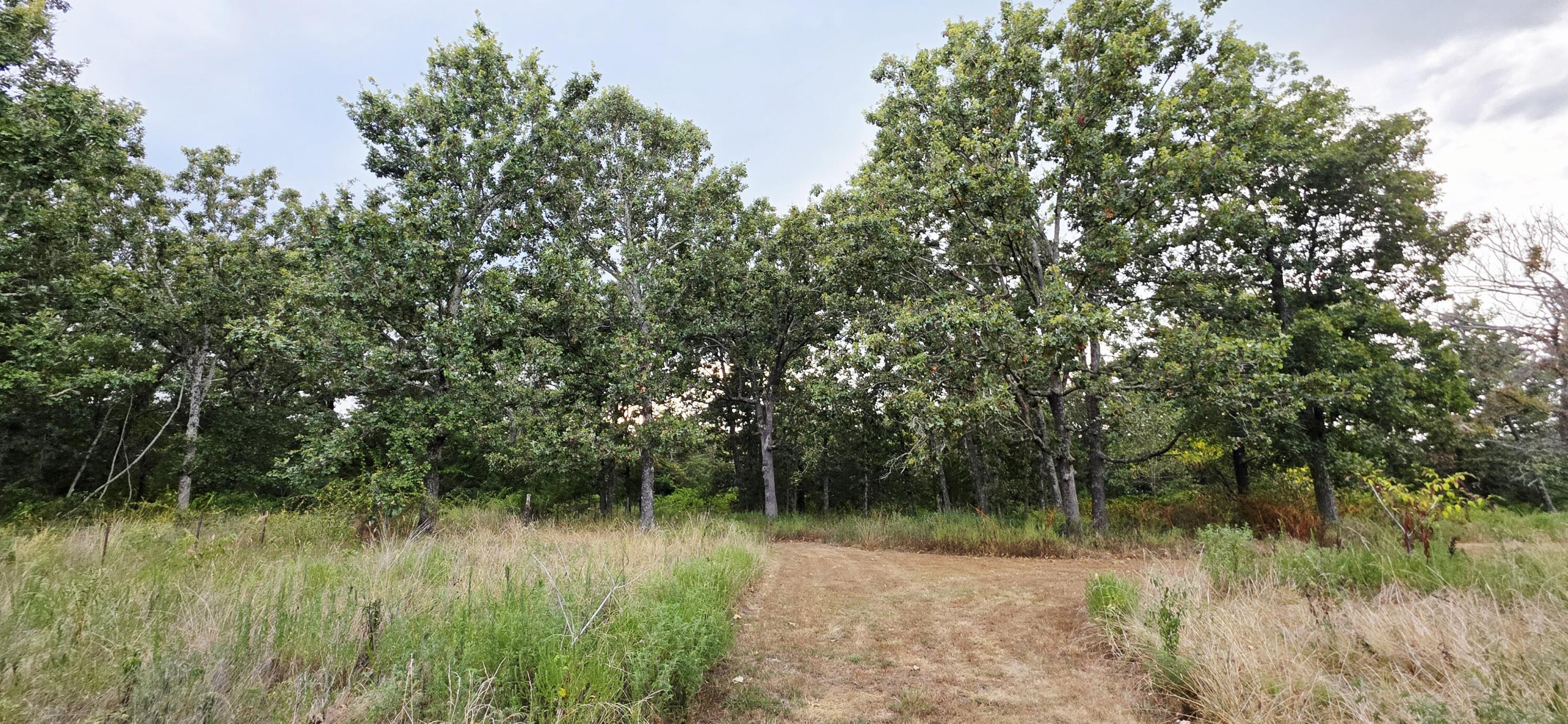 28114 State Highway 38 Property Photo 29