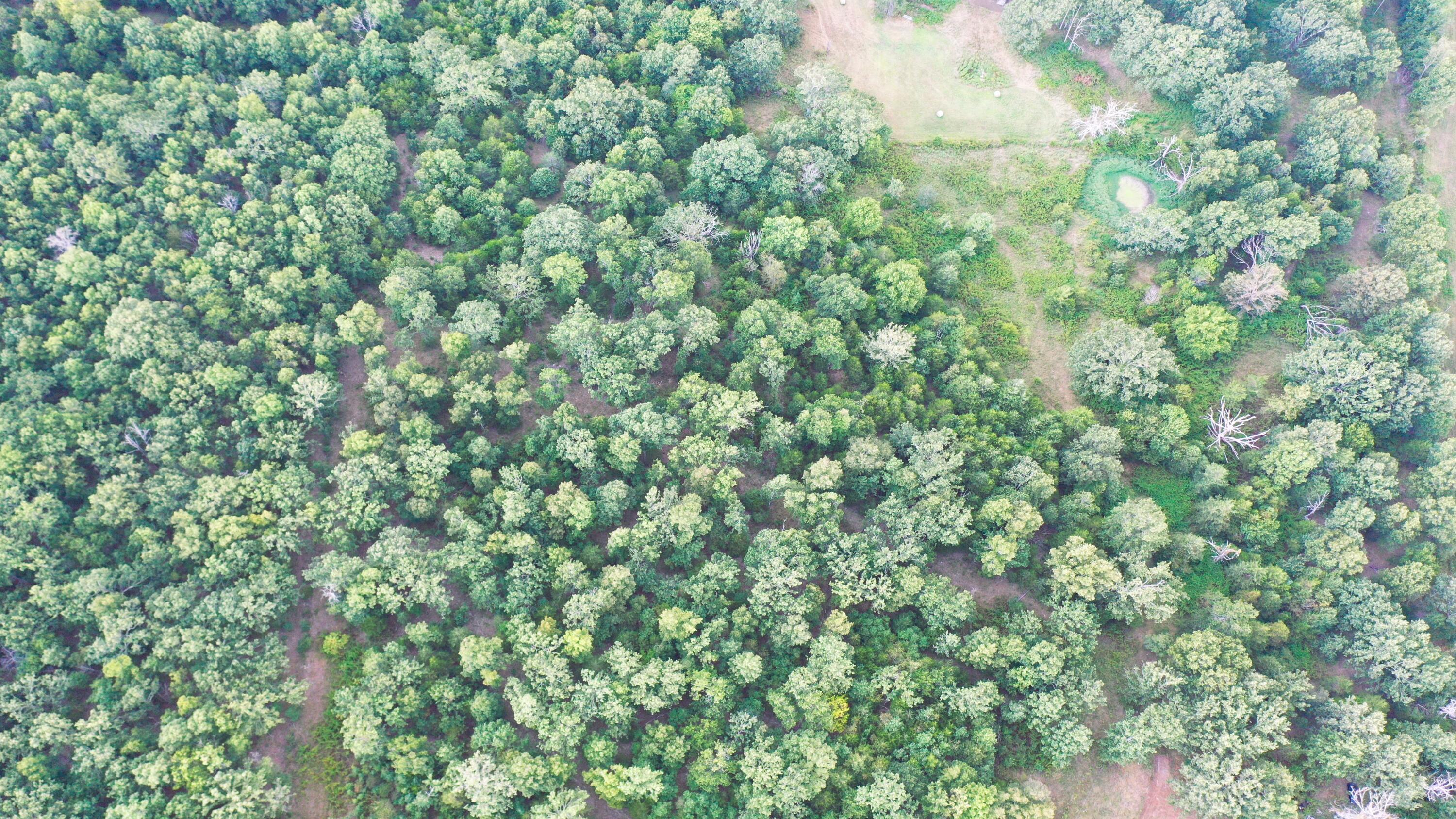 28114 State Highway 38 Property Photo 33