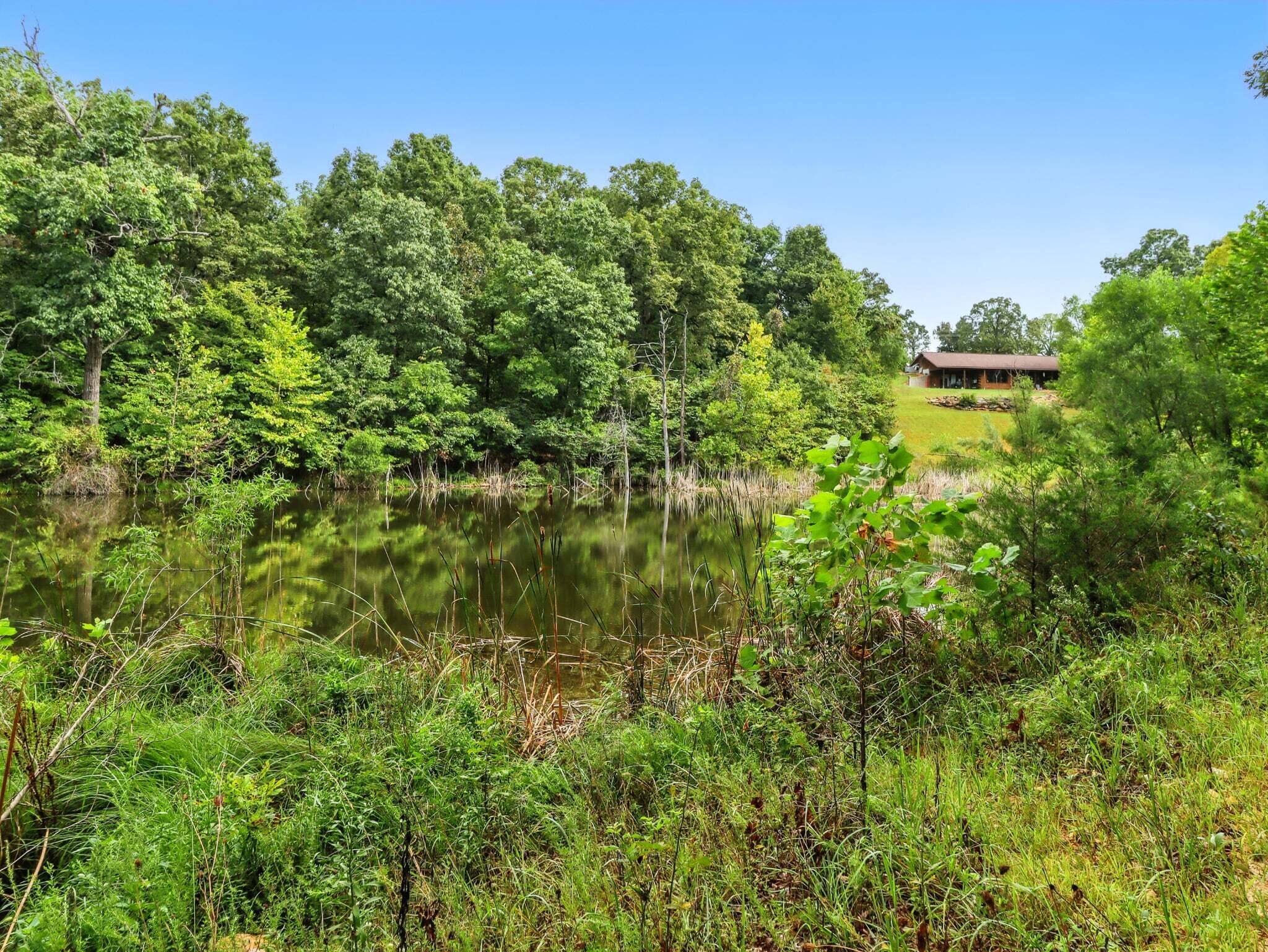 2186 County Road 502 Property Photo 3