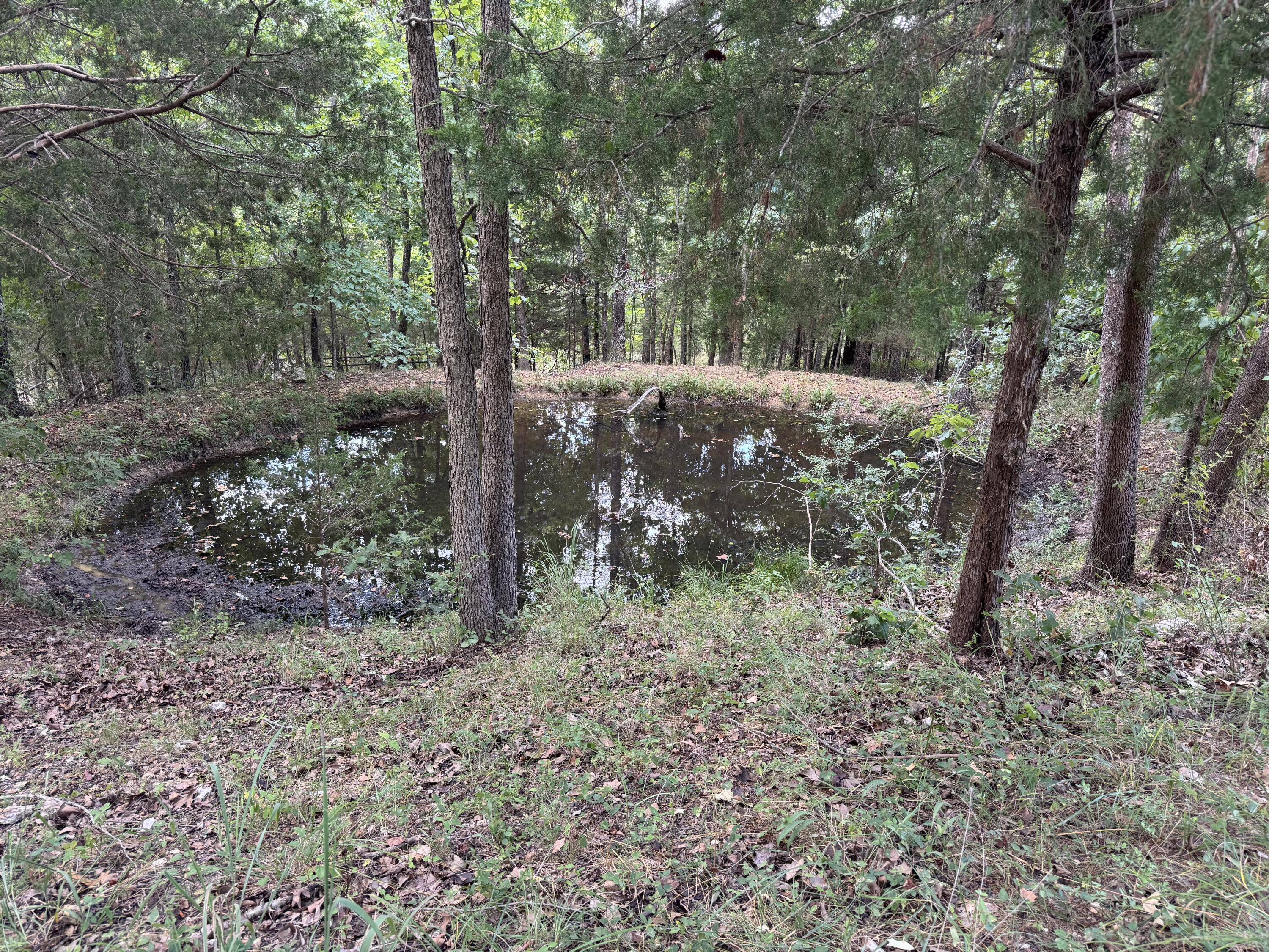 93 West Wind Way Property Photo 66