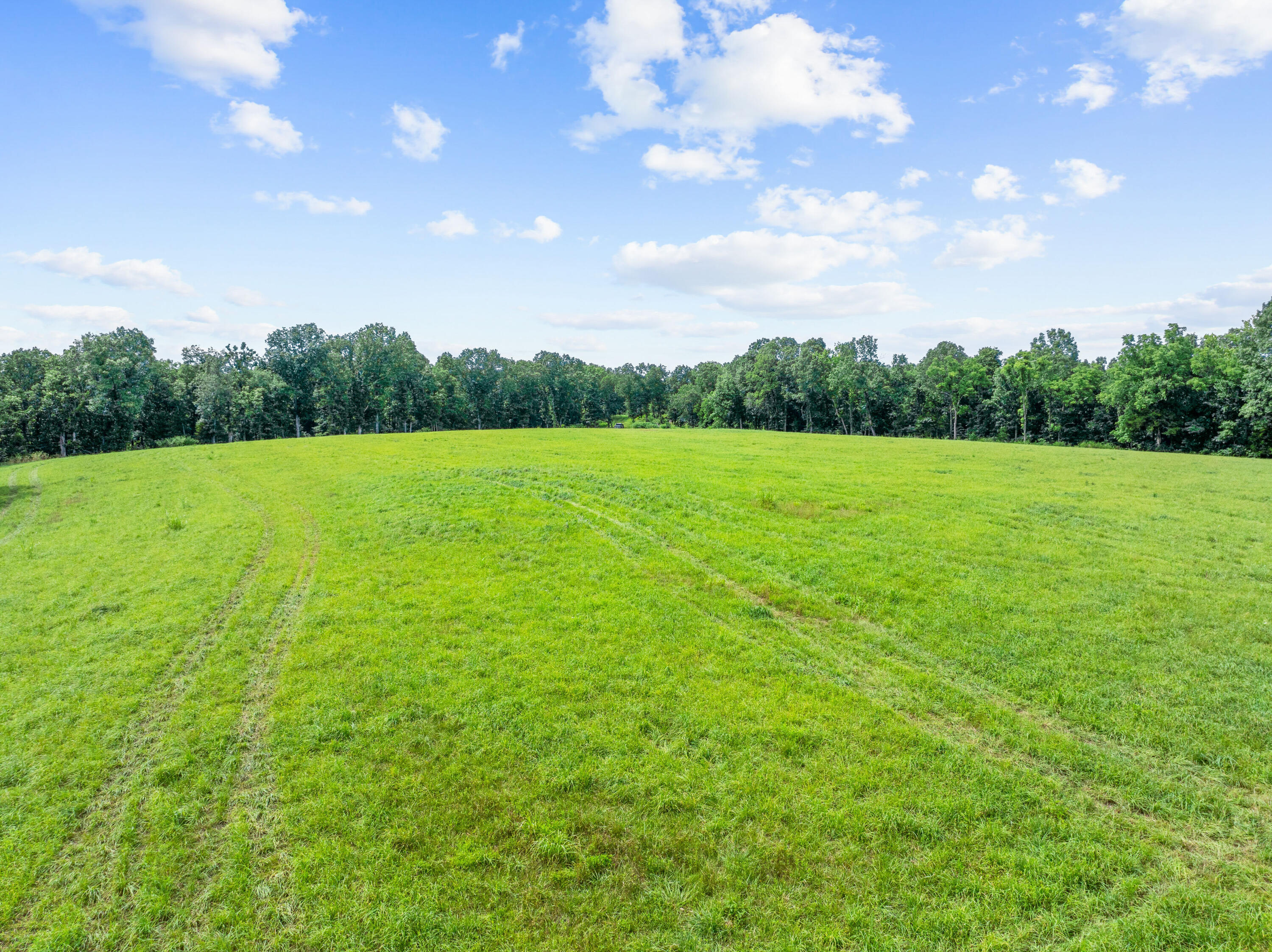 27255 Farm Road 2090 Property Photo 48