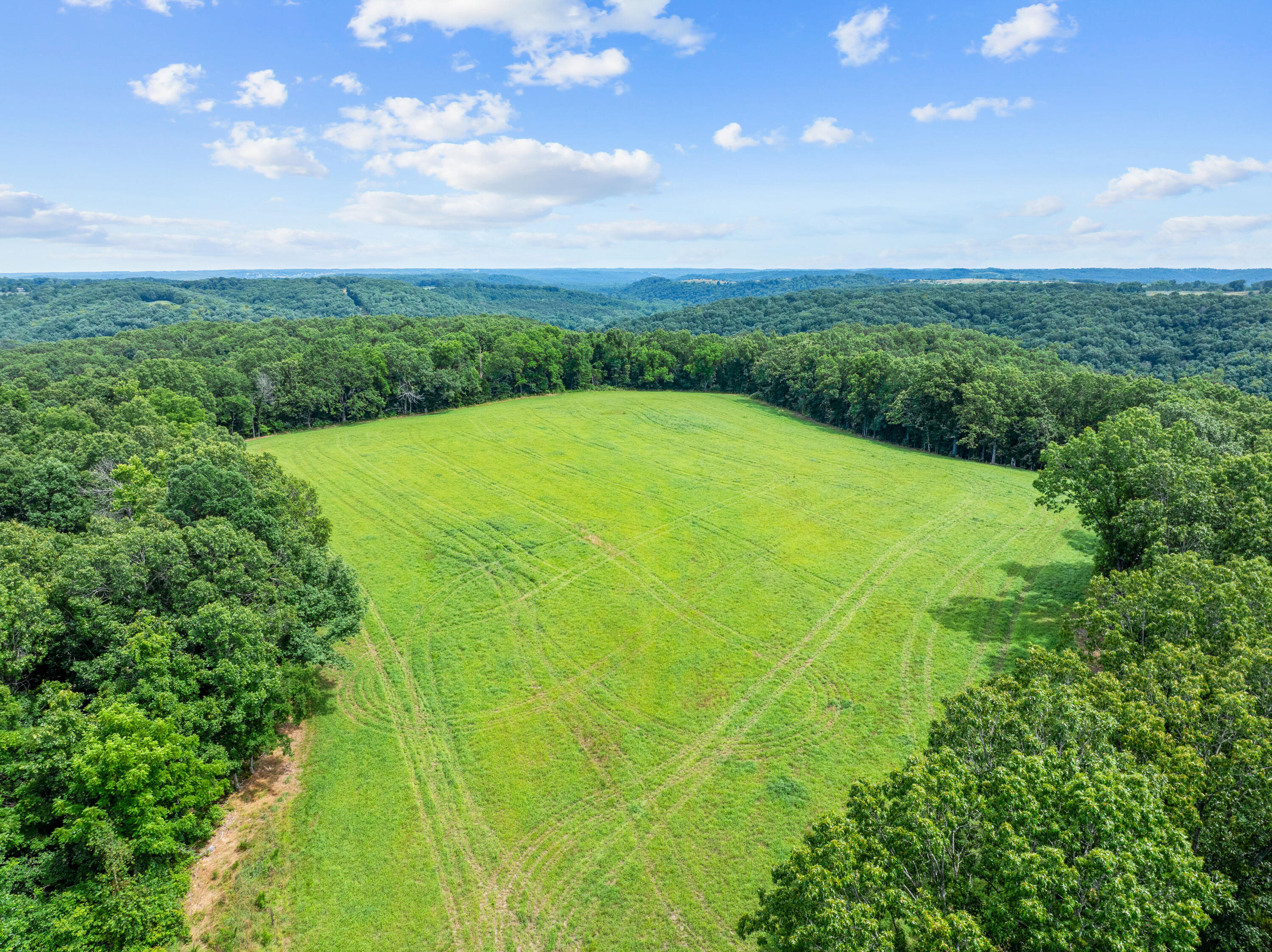 27255 Farm Road 2090 Property Photo 50