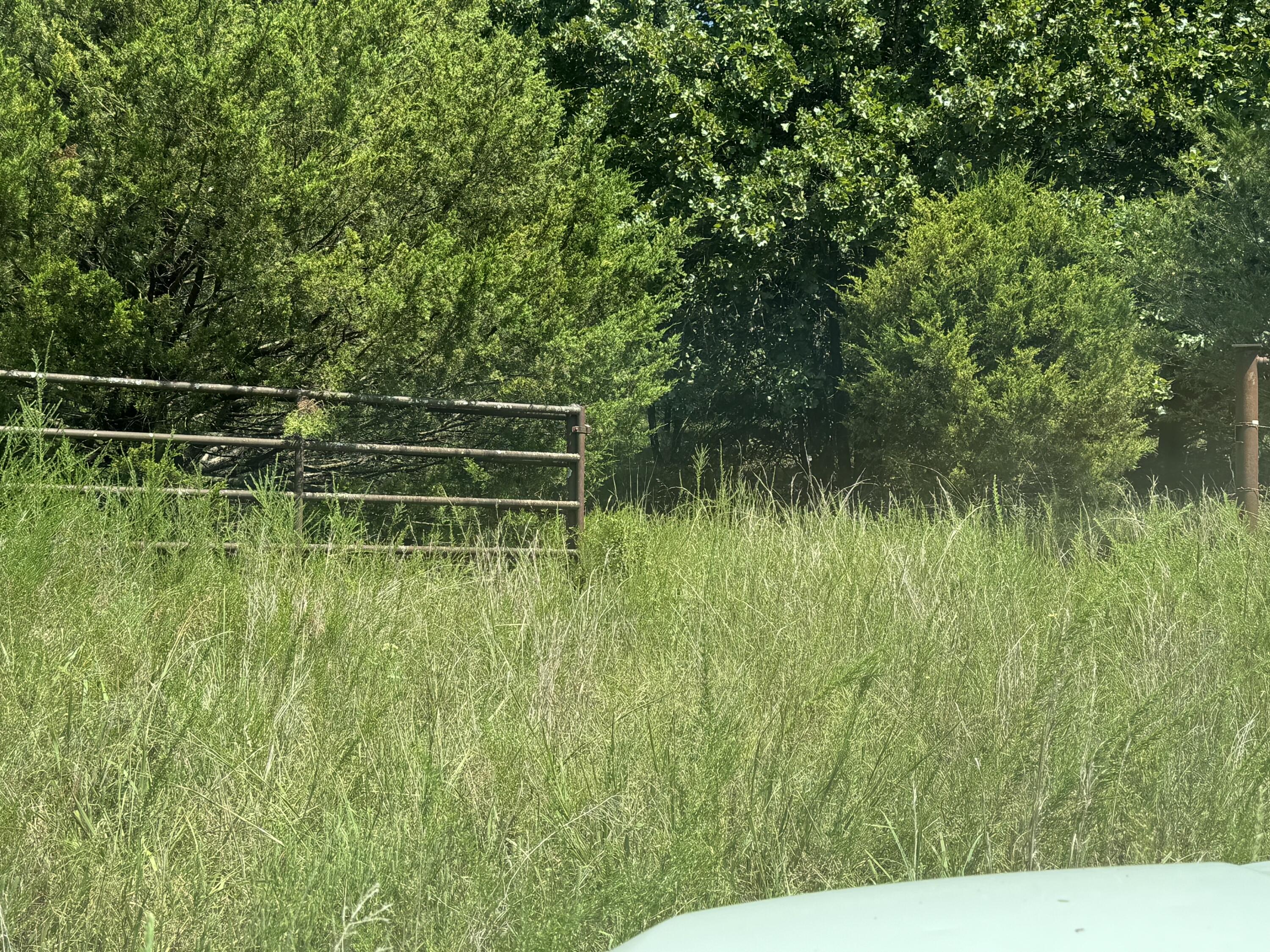 000 Tbd County Road 946 Property Photo 1