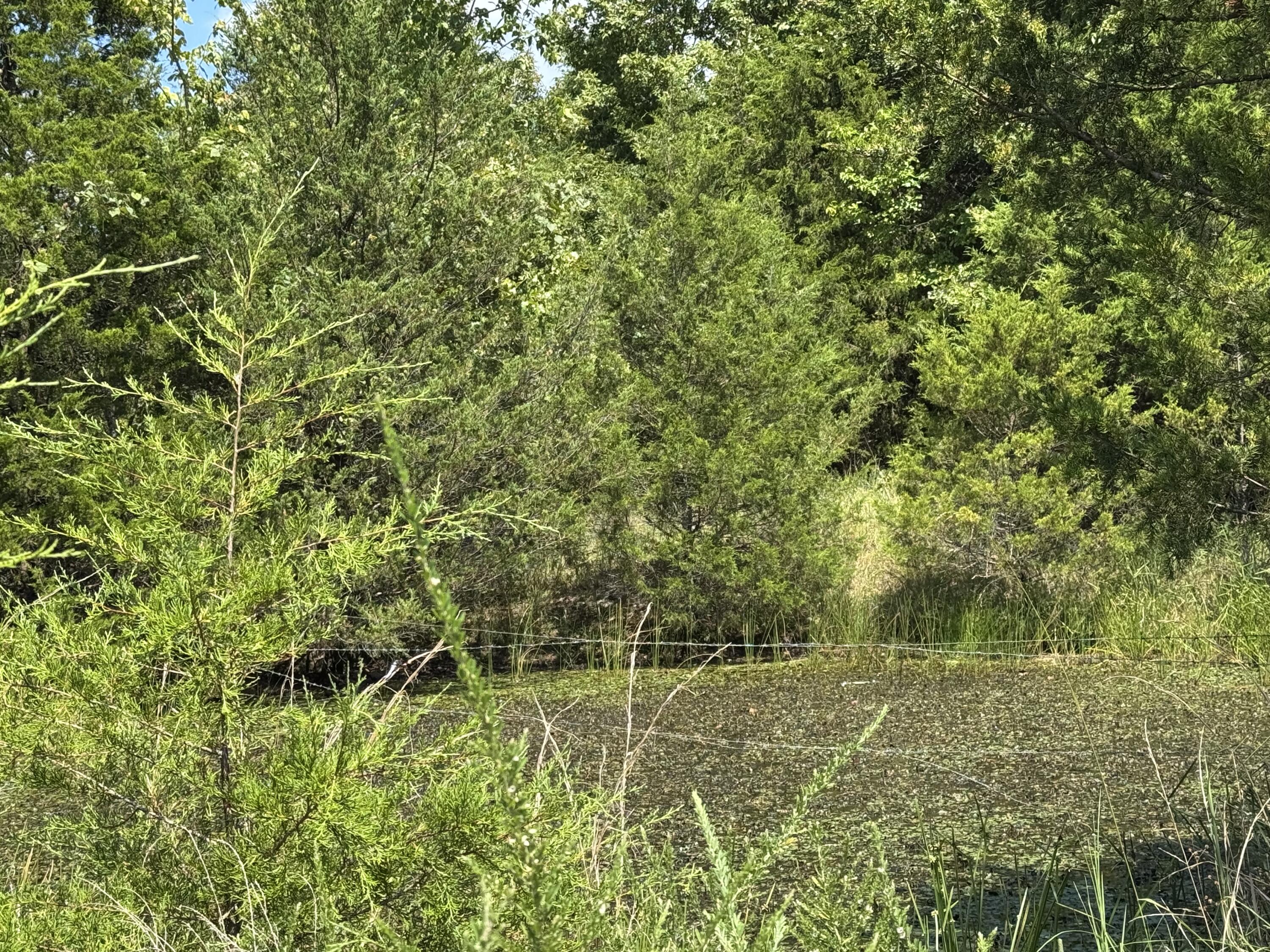 000 Tbd County Road 946 Property Photo 4