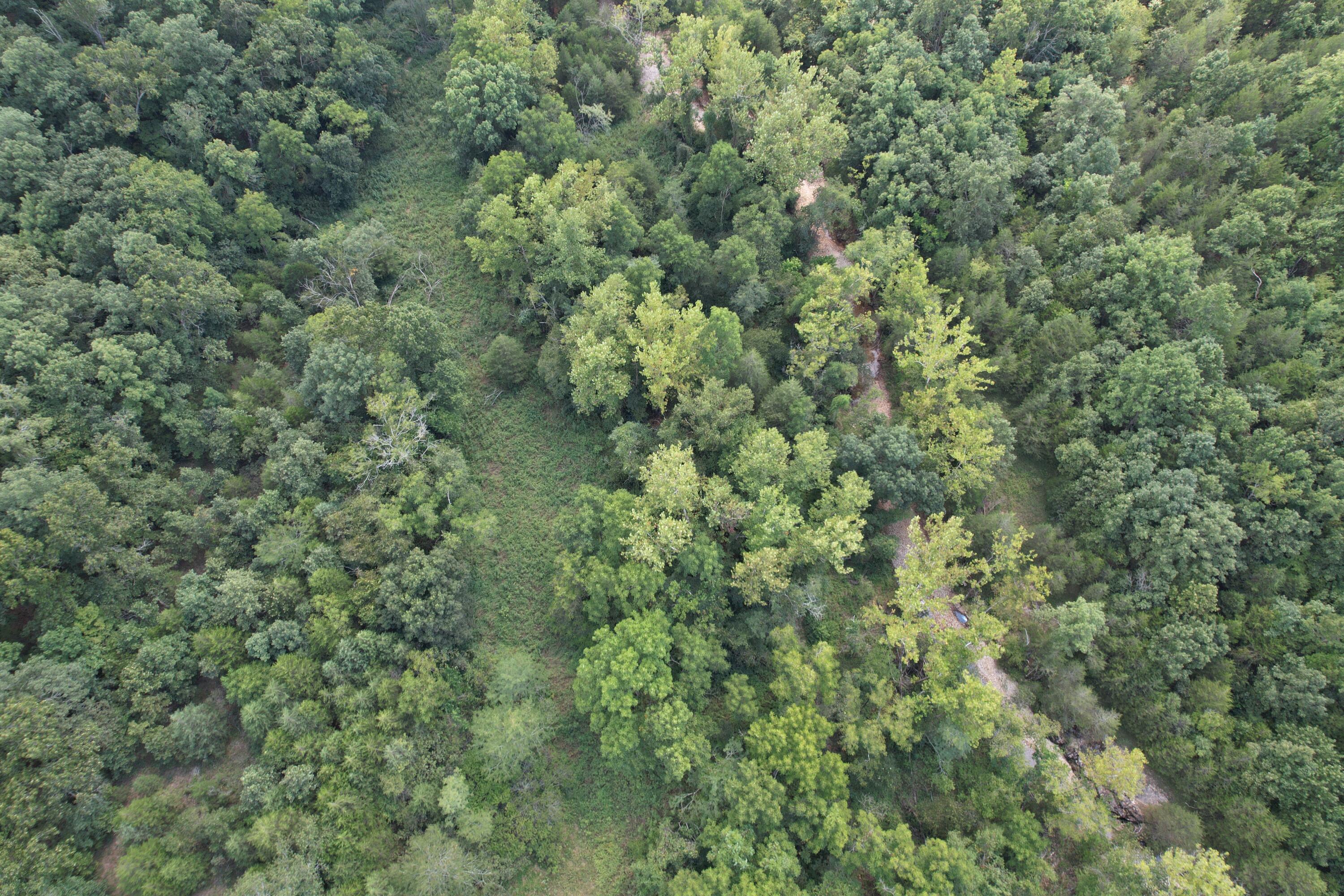 000 Tbd County Road 946 Property Photo 8