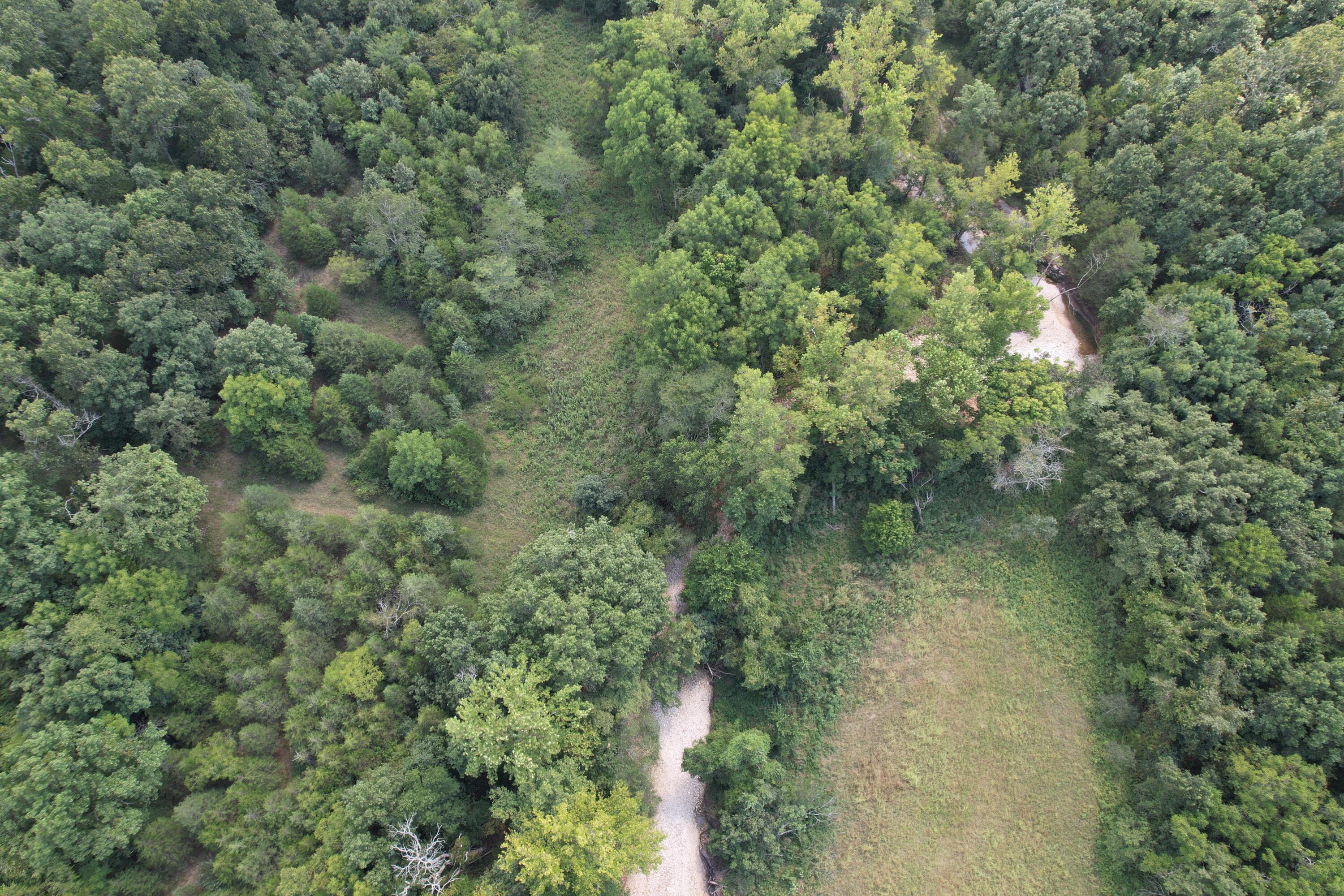000 Tbd County Road 946 Property Photo 9