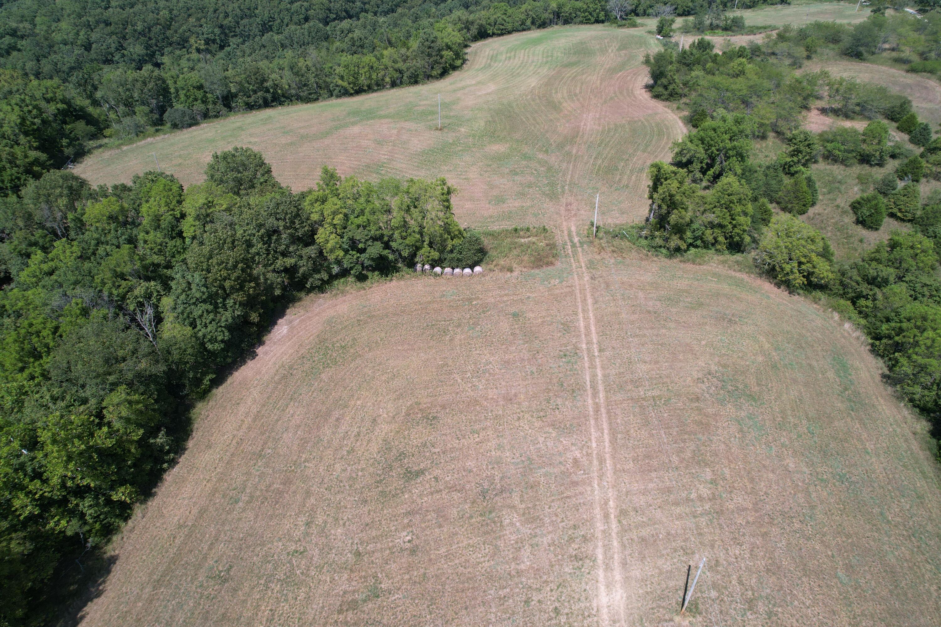 000 Tbd County Road 5-420 Property Photo 3