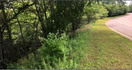 000 Ozark Scenic Drive Property Photo 2