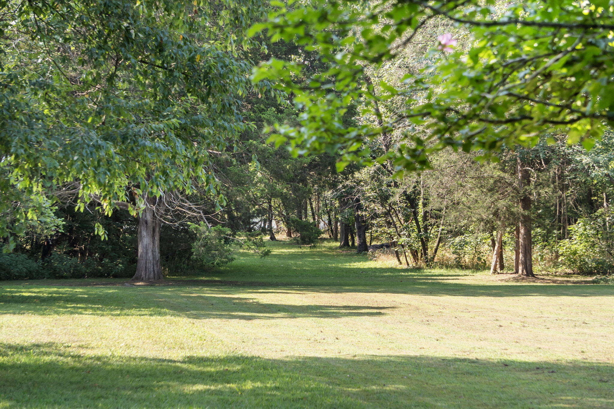 2353 Eaglecrest Road Property Photo 46
