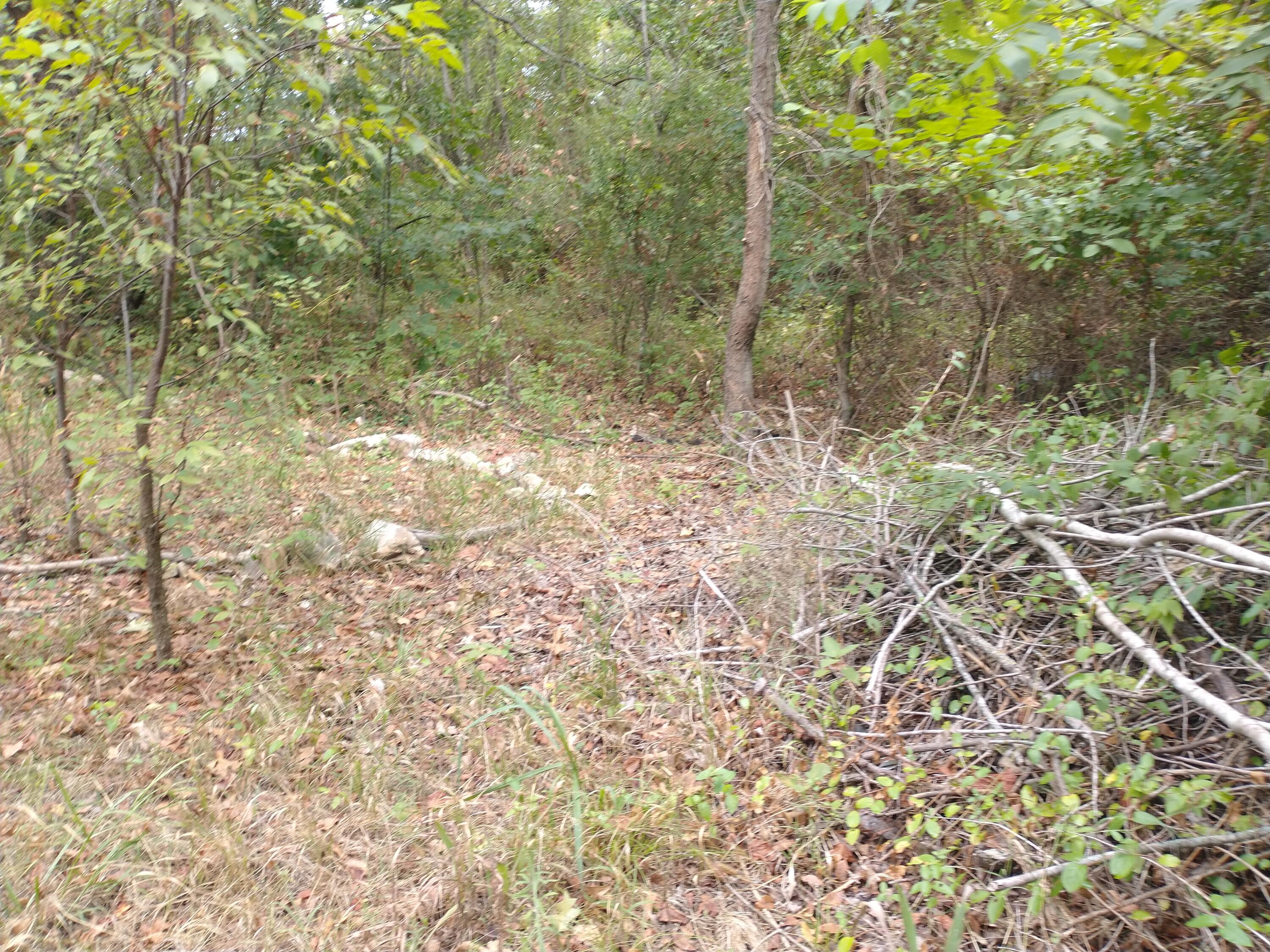 220 Harmony Lane Property Photo 1