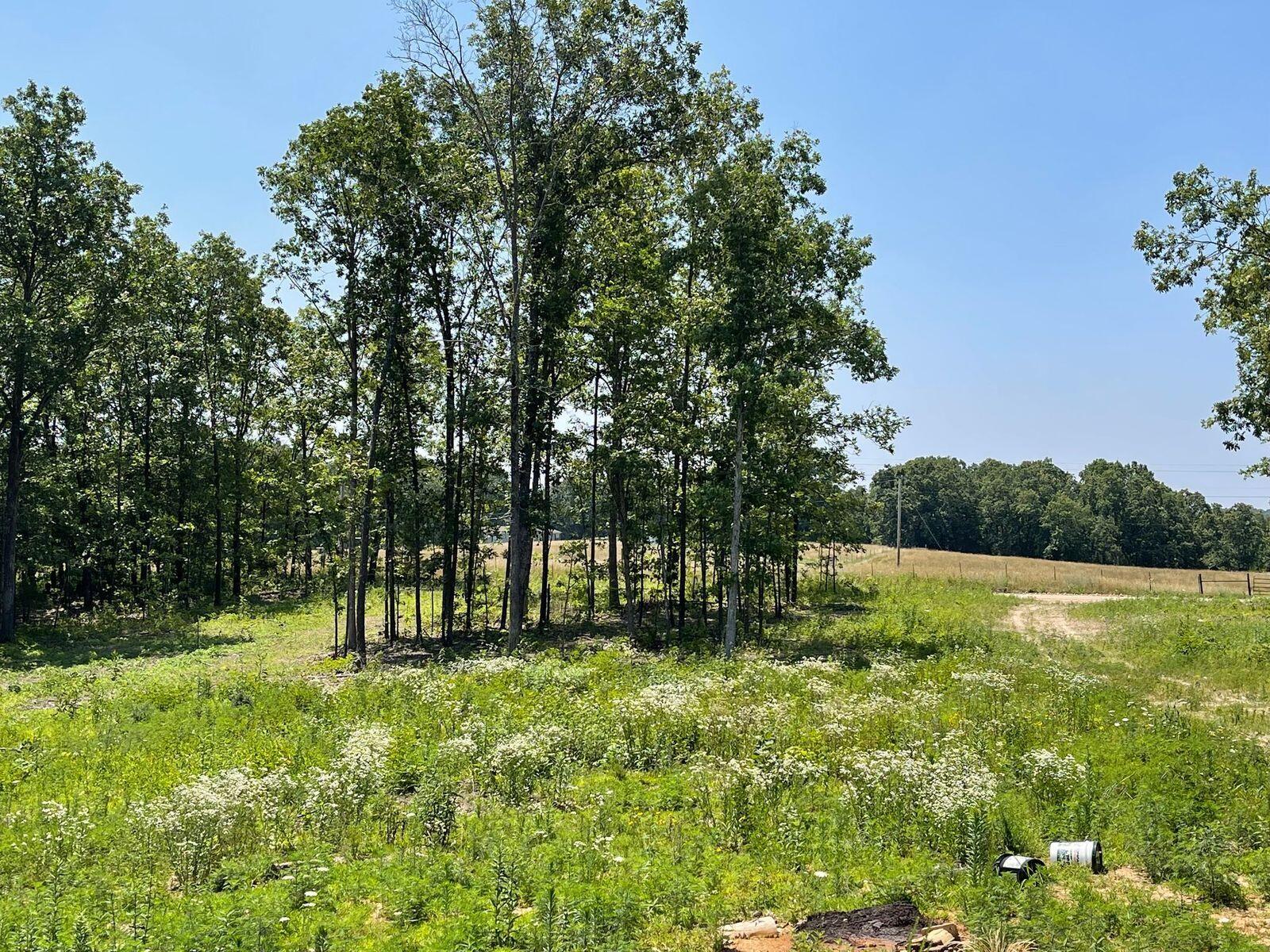 000 Co Rd 3440 Property Photo 2