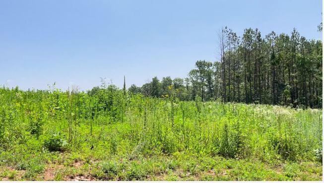 000 Co Rd 3440 Property Photo 6