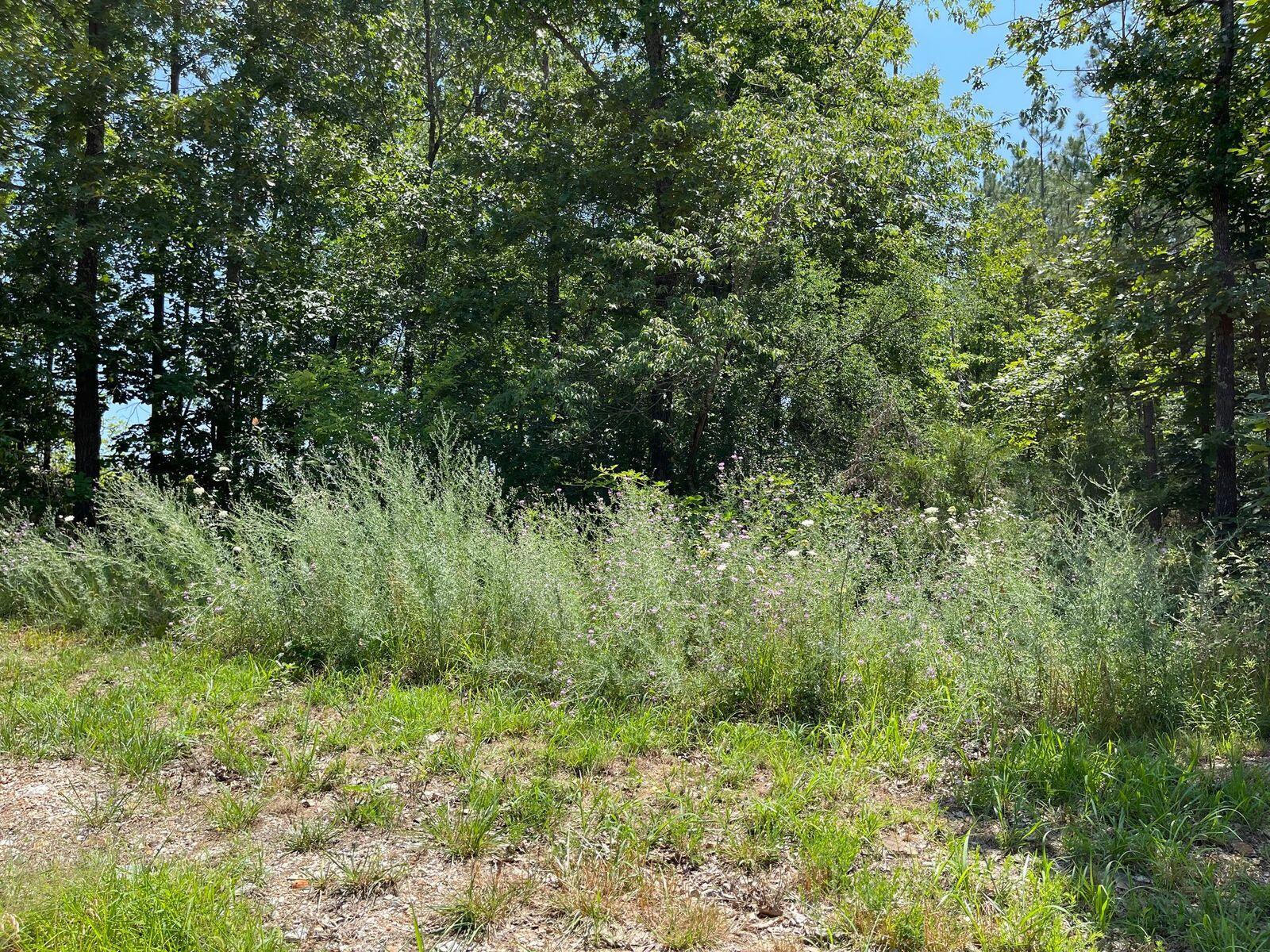 000 Co Rd 3440 Property Photo 7