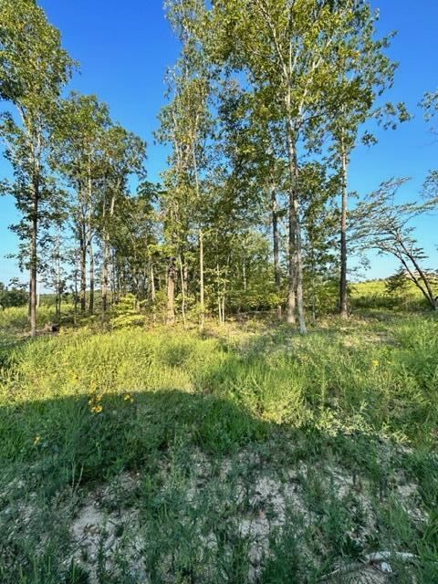 000 Co Rd 3440 Property Photo 9