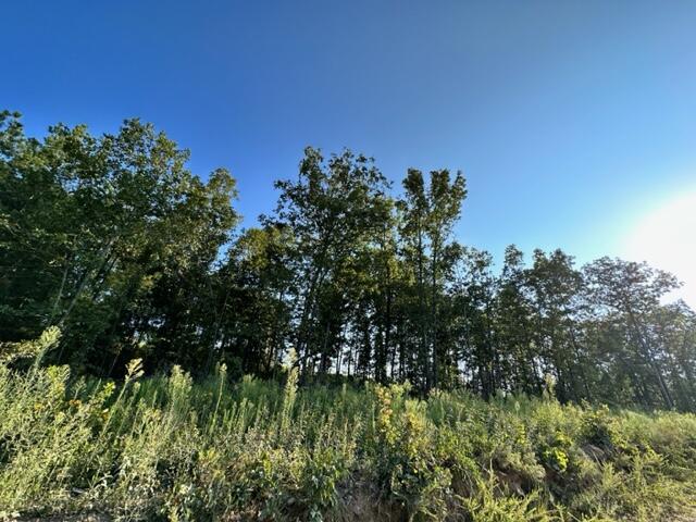 000 Co Rd 3440 Property Photo 12