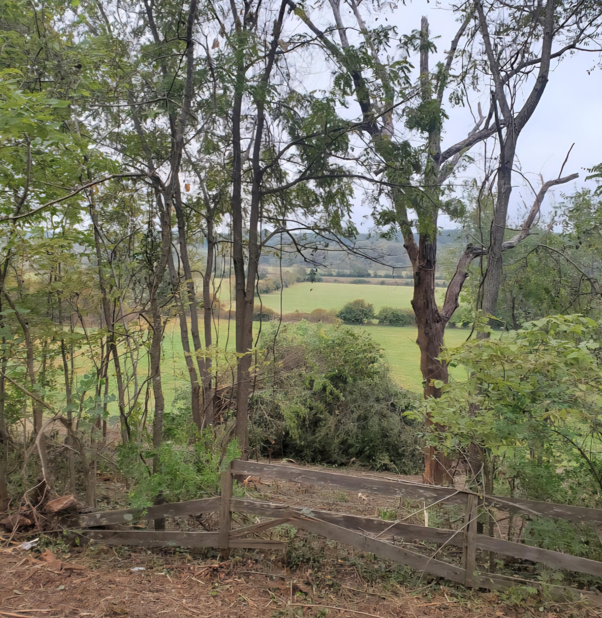 000 East Farm Road 164 Property Photo 1