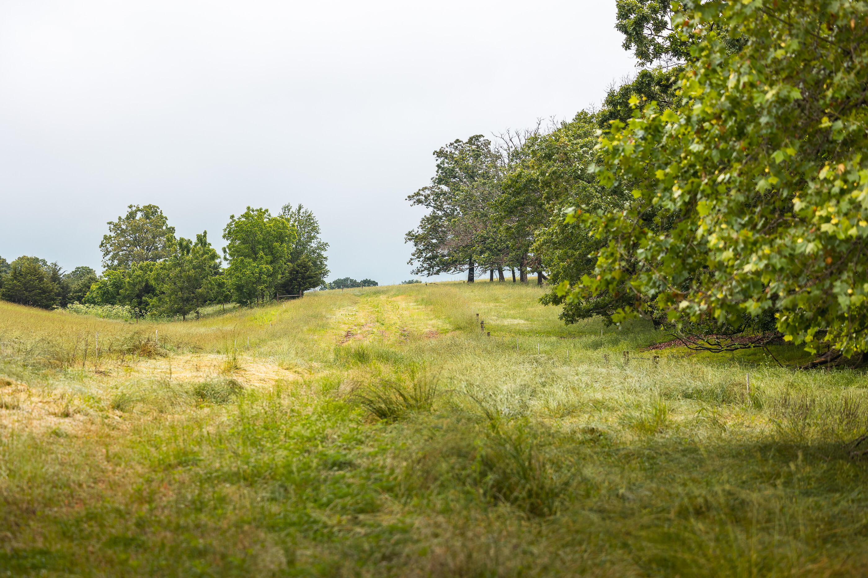 Tract 2 Farm Road 1200 Property Photo 28