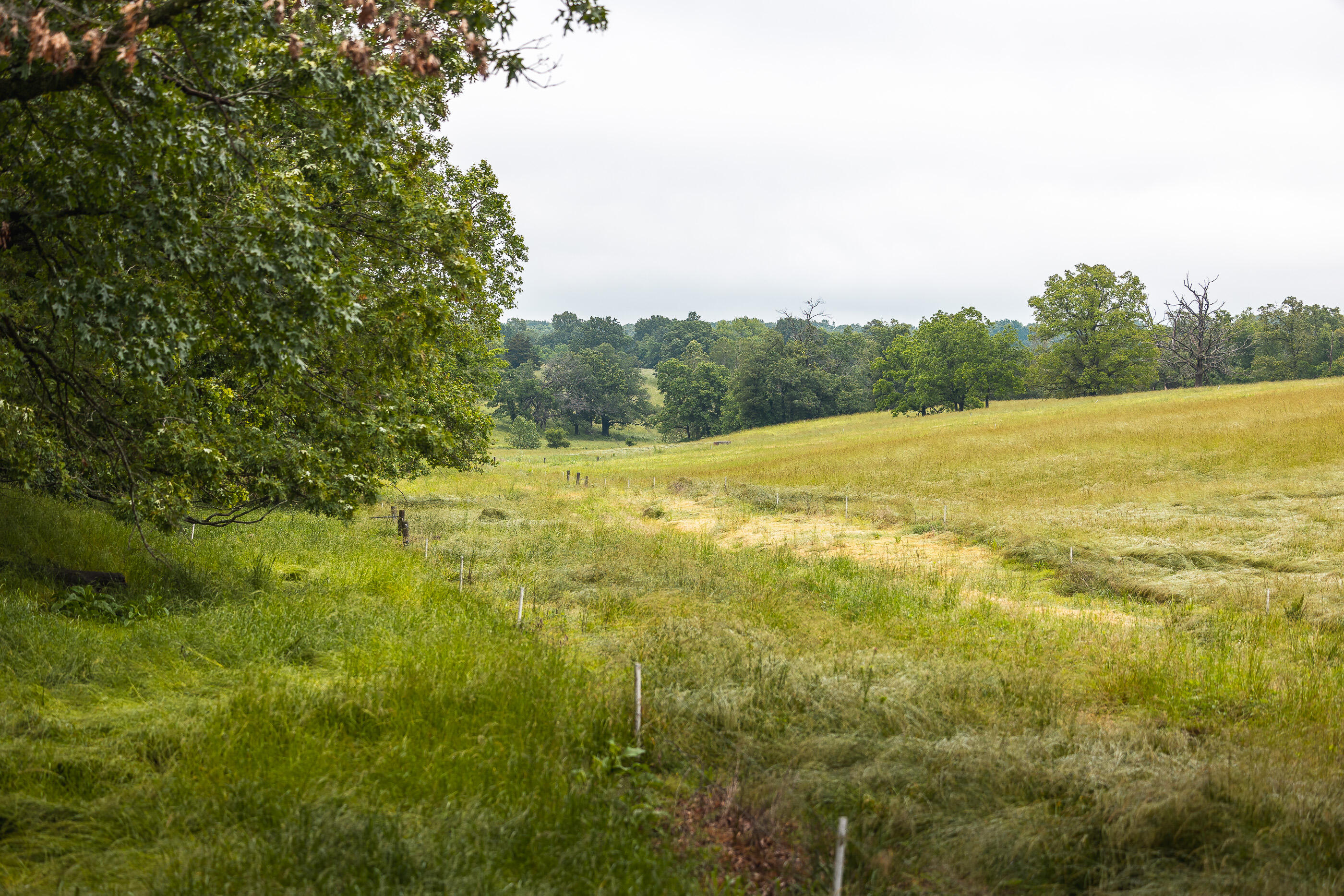 Tract 2 Farm Road 1200 Property Photo 33