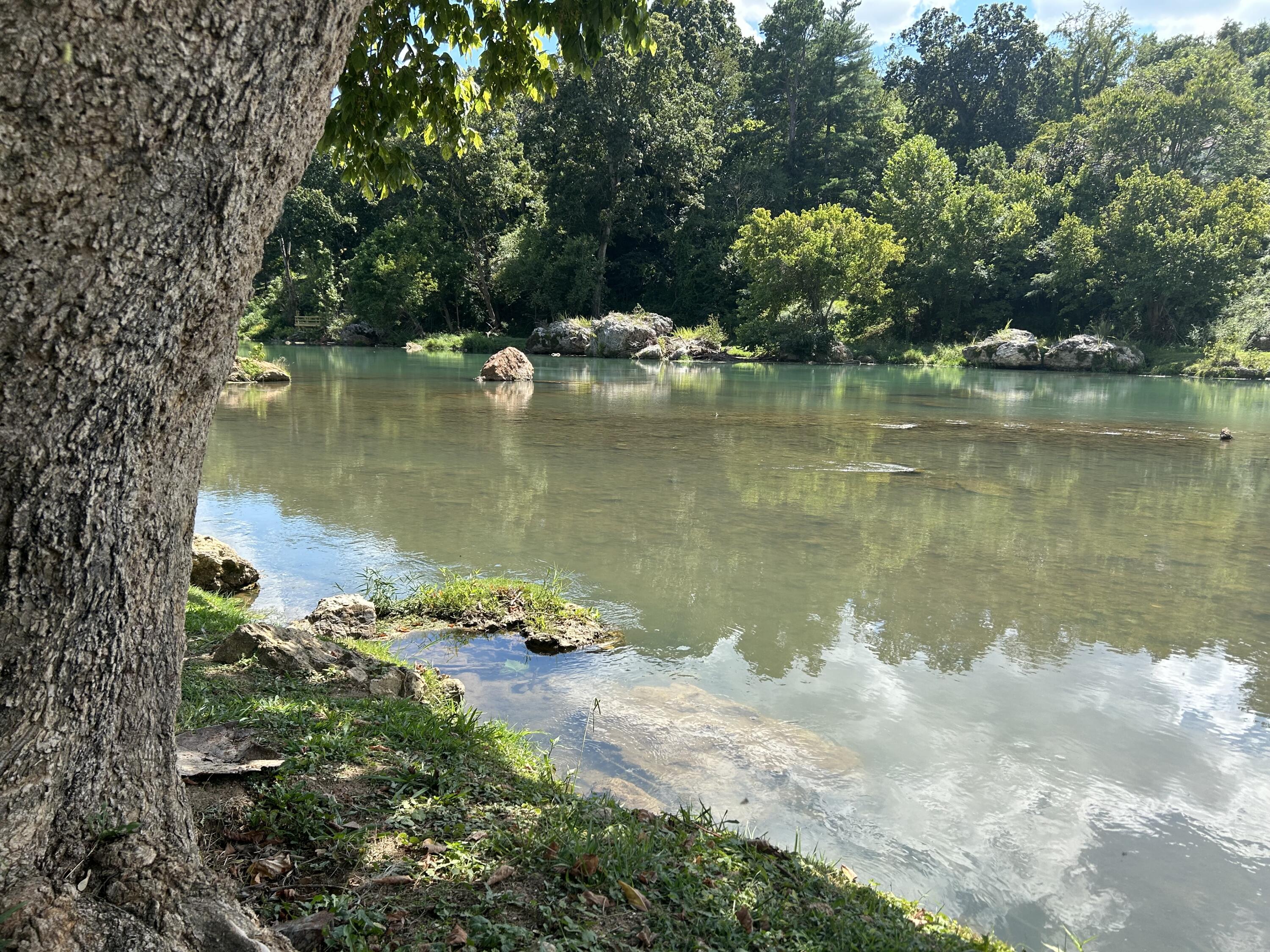 107 Us 63 Property Photo 44