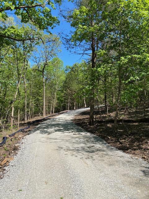 Tbd Bluff View Road Property Photo 4