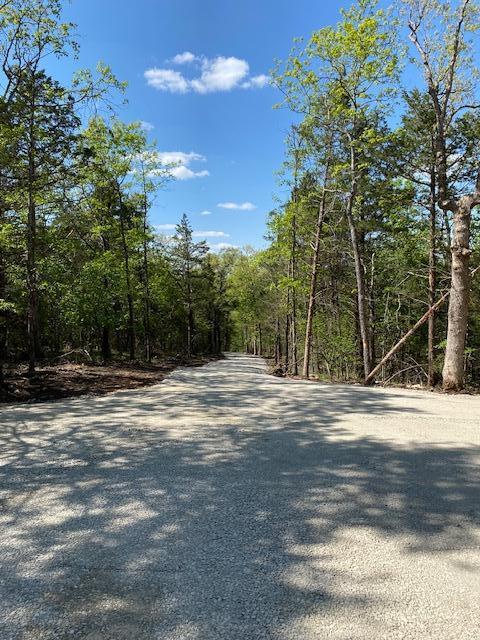 Tbd Bluff View Road Property Photo 8