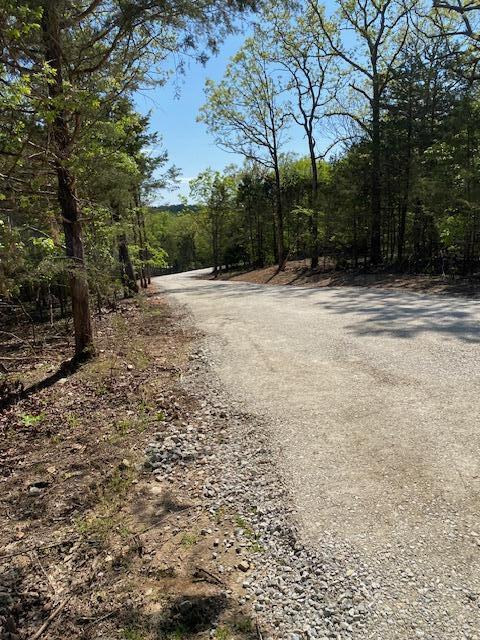 Tbd Bluff View Road Property Photo 10