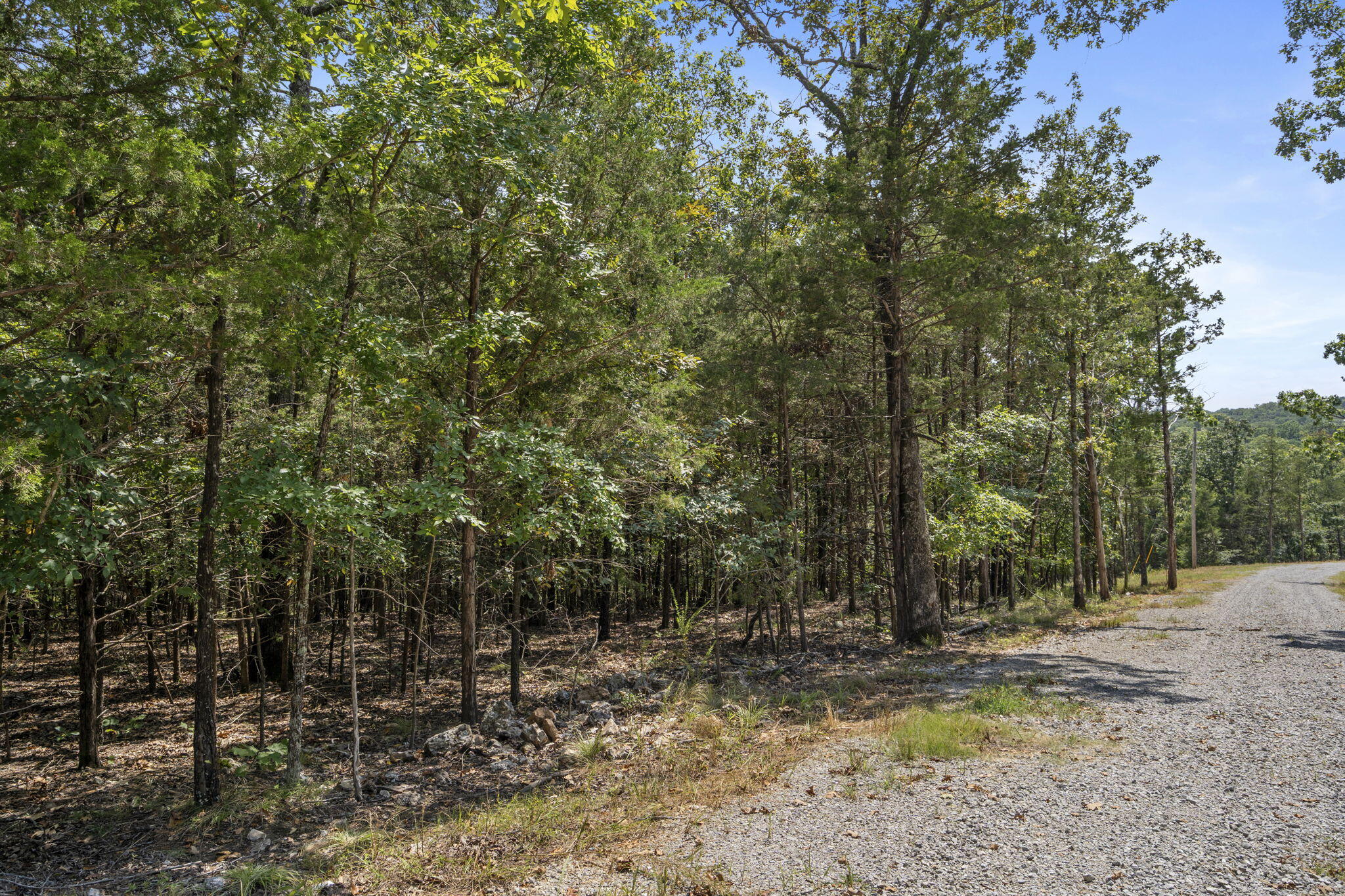 Tbd Bluff View Road Property Photo 24